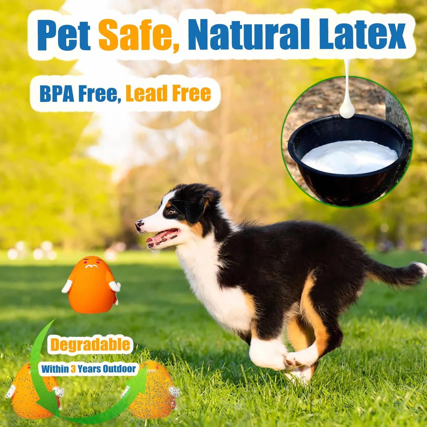 HOLYSTEED Jouet Chien Couineur 6 pièces, Balle Couineuse en Latex pour Petit Chien