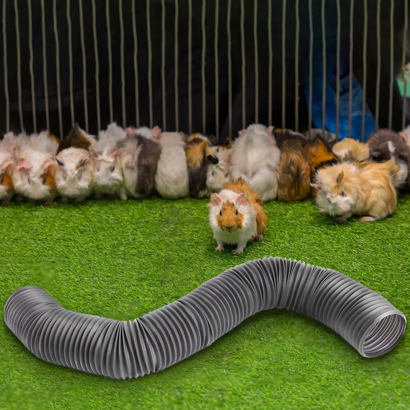 Tunnel pour furet | Aire de jeu pour tuyau d'aventure | Accessoires légers et amusants pour petits animaux