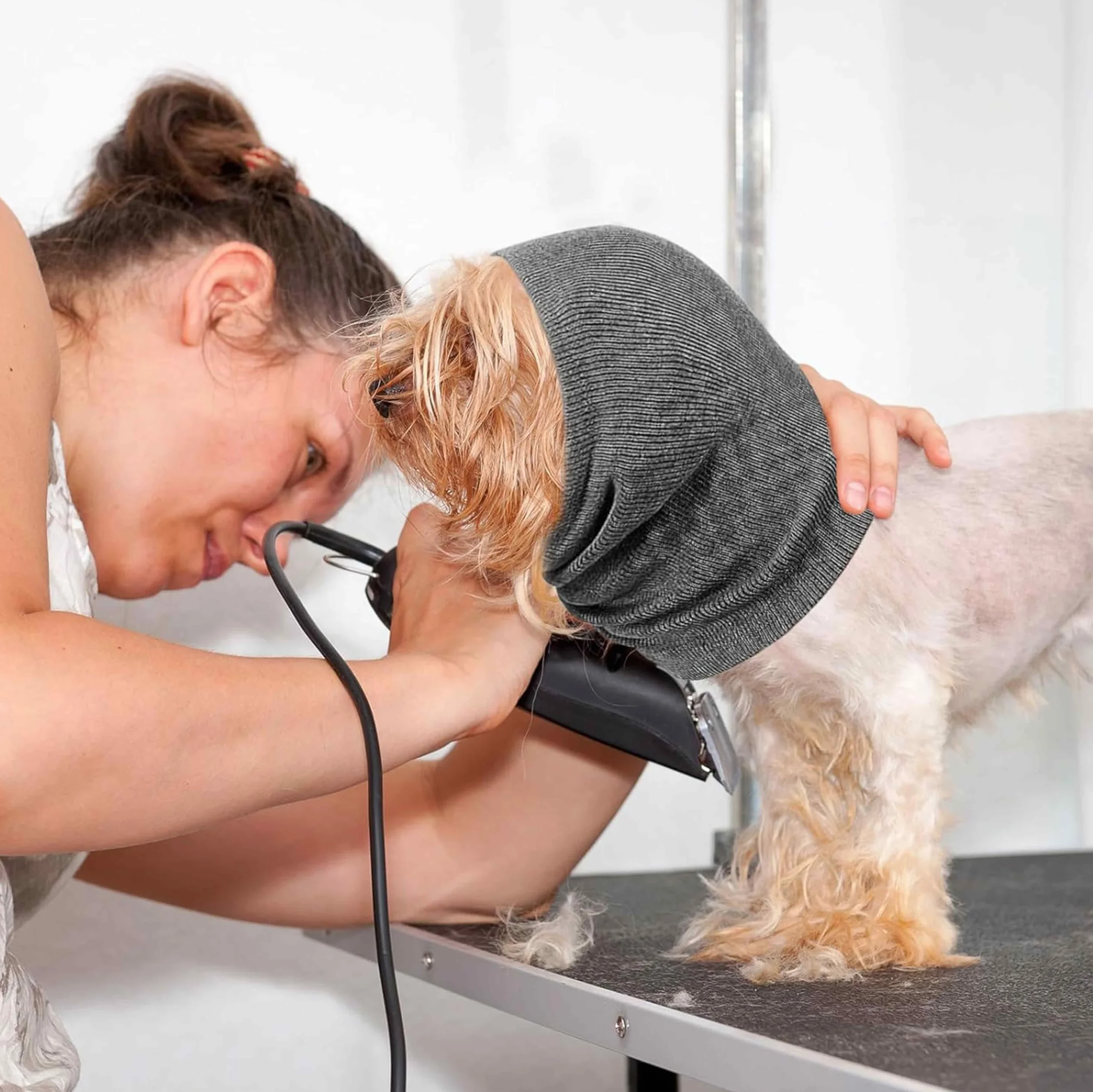 Cache-cou et Protège-Oreilles pour Chien - Réduit le Bruit et Calme les Animaux Domestiques - Confortable et Anti-Anxiété - Couvre-Tête pour l'Hiver - Taille S Gris