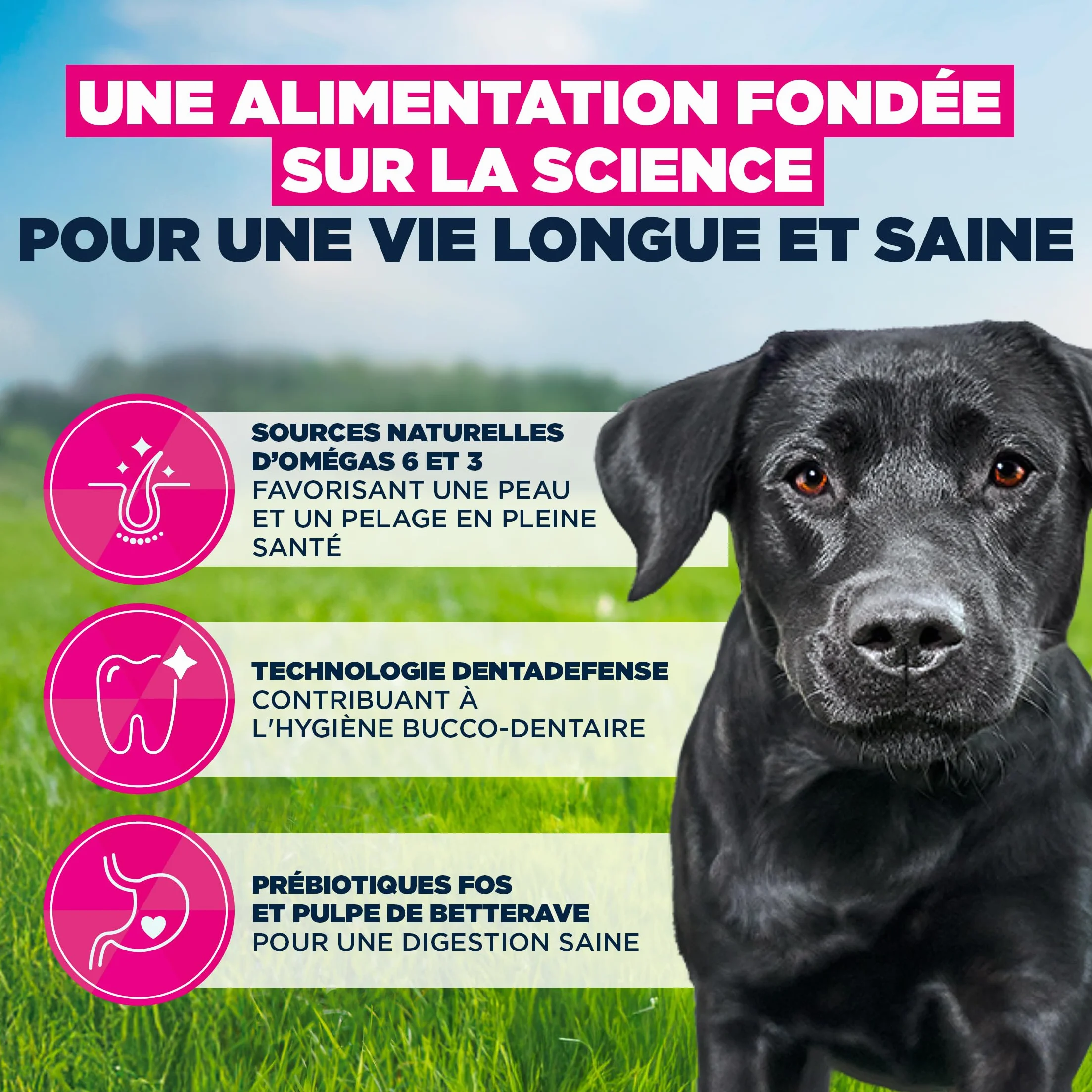 EUKANUBA Life Care Croquettes Chien Adulte Grande Race 15 kg