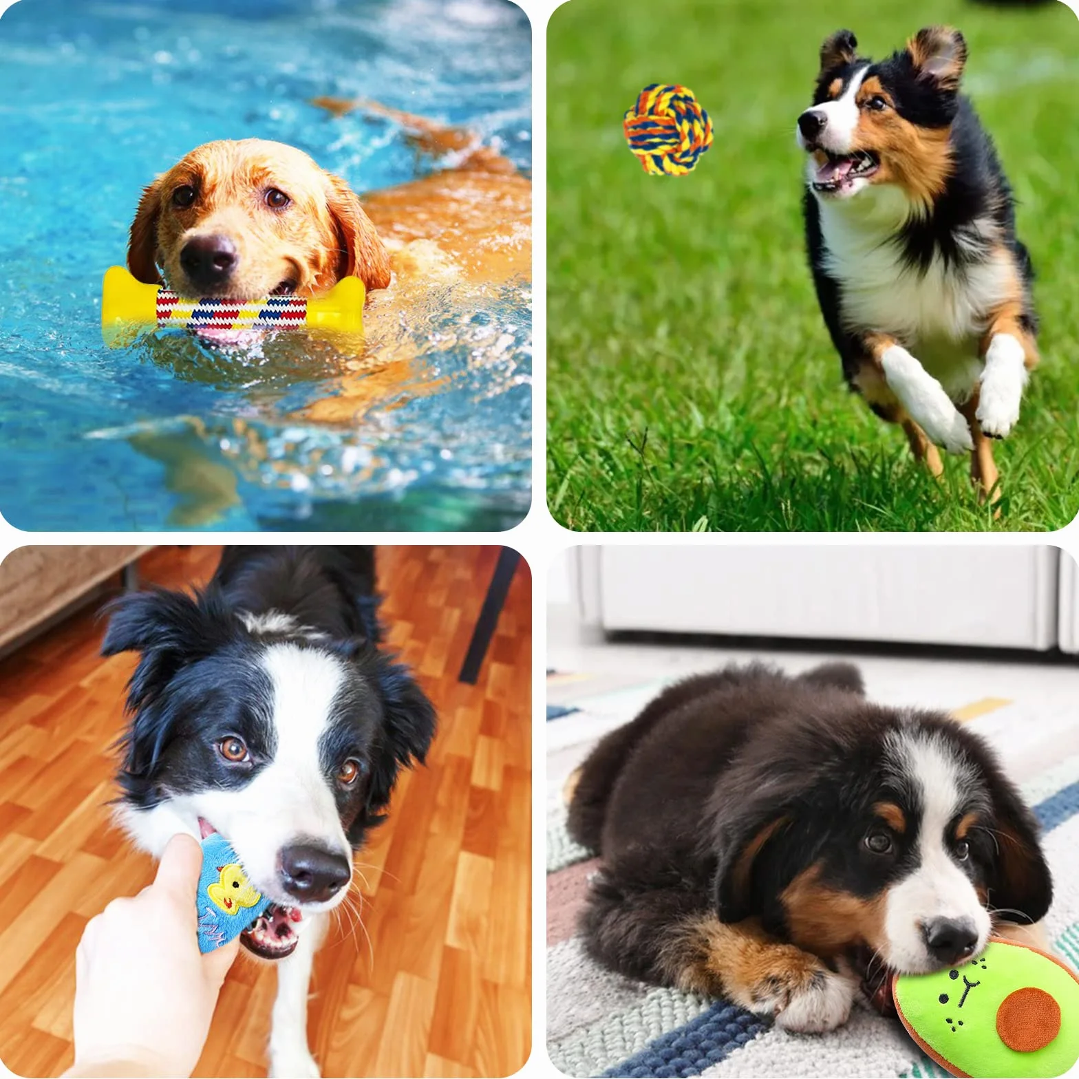 JOYBOY Jouets pour Chien 19 Pièces en Peluche et Corde en Coton Naturel