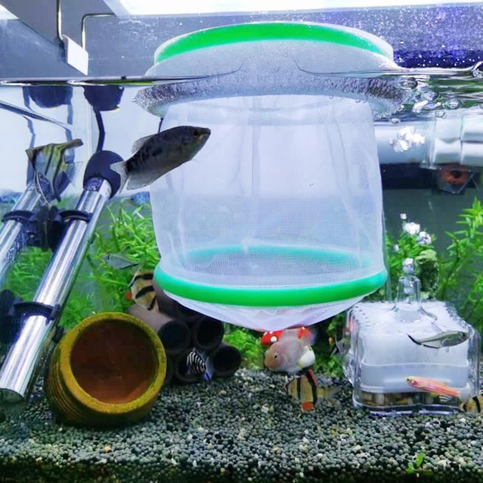 Sharplace Filet d'élevage d'aquarium en Nylon flottant pour guppys, alevins et poissons agressifs
