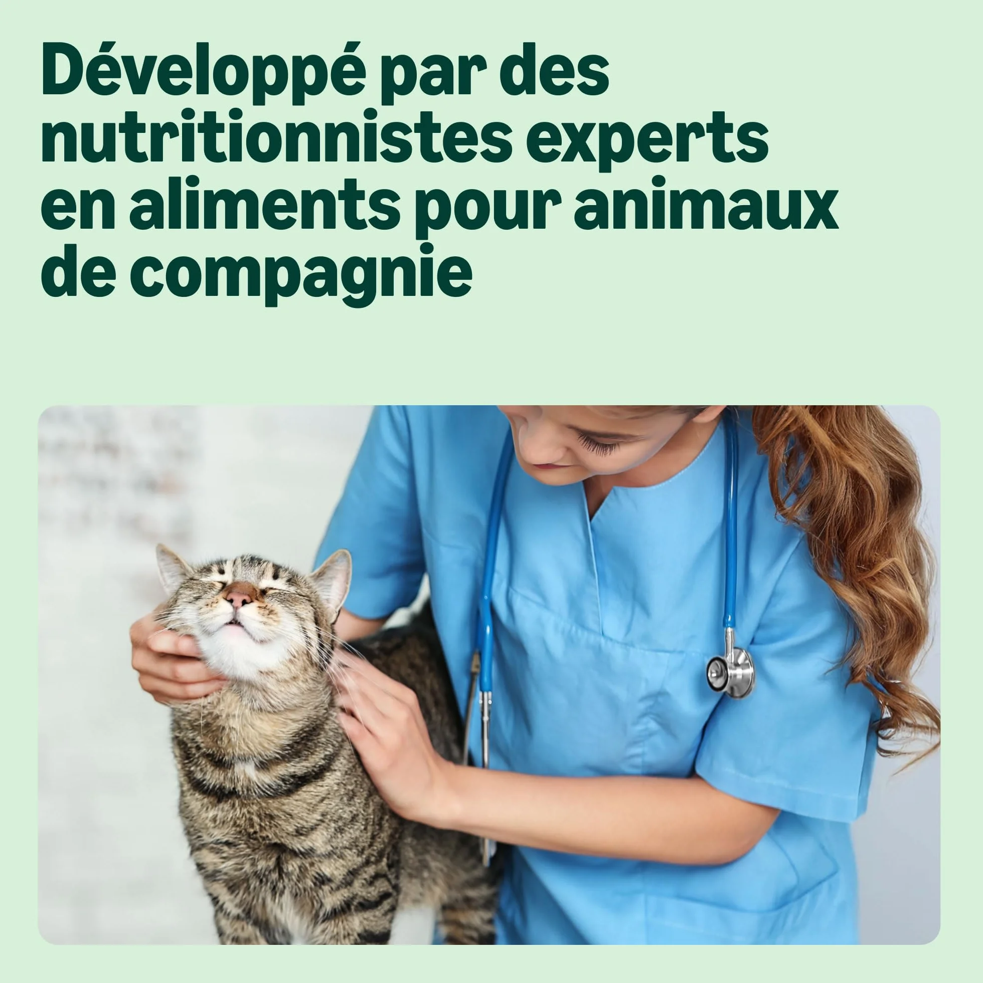 Amazon Nourriture Humide pour Chat, Morceaux de Saumon en Sauce, 12 x 415 g