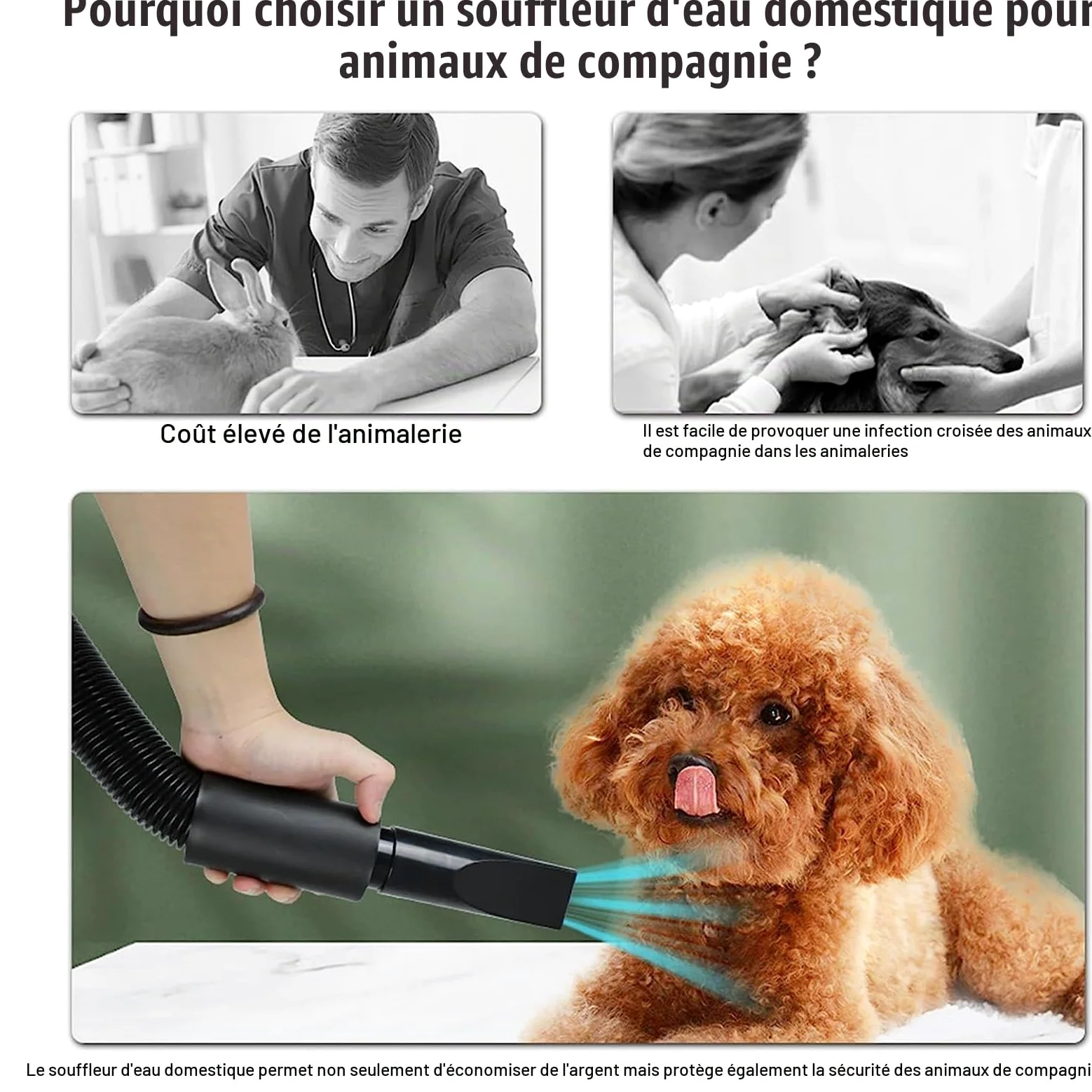 Pulseur pour Chien 2800W - Séchoir Professionnel pour Animaux avec Température Réglable et 4 Buses (Jaune)