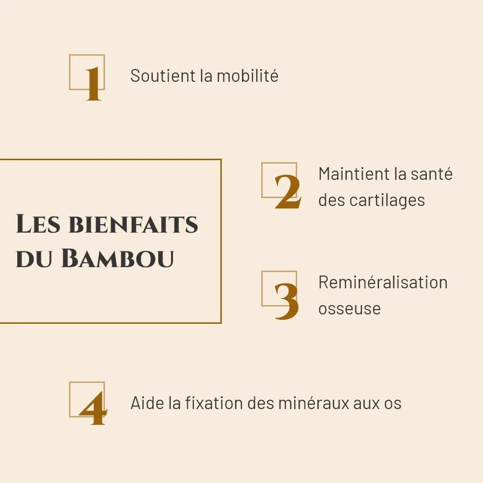 BAMBOU Complément nutritionnel Cheval Seau 1 kg Santé articulations Reminéralisation osseuse