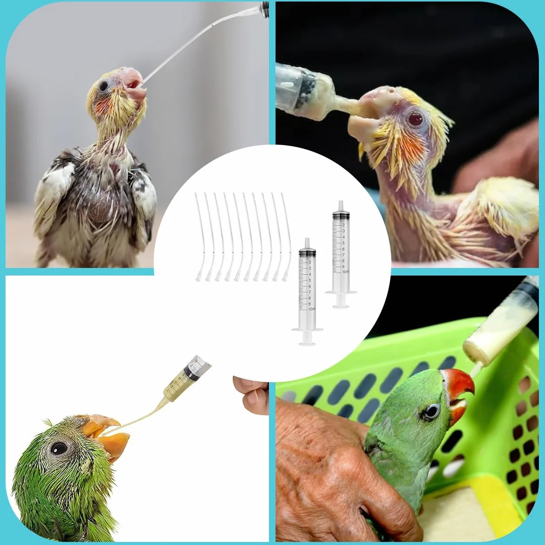10 Pièces Tubes d'Alimentation pour Oisillons avec 2 Seringues 10 ml, Outil de Nourrissage pour Bébés Oiseaux et Perroquets