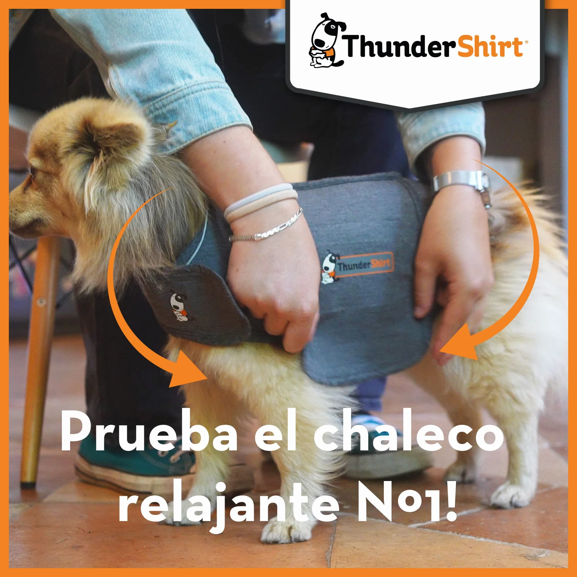 ThunderShirt Gilet Relaxant pour Chiens Gris 5 Tailles