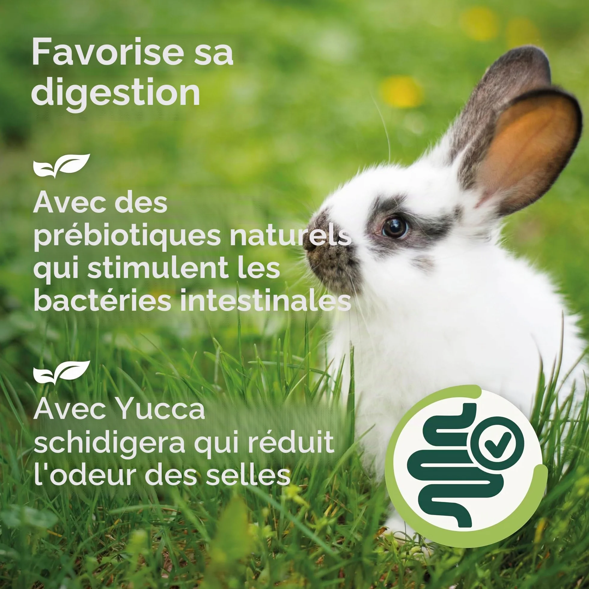 BEAPHAR Care+ Nature Alimentation Complet pour Lapin sans céréales Riche en Fibres ingrédients naturels 1,5 kg