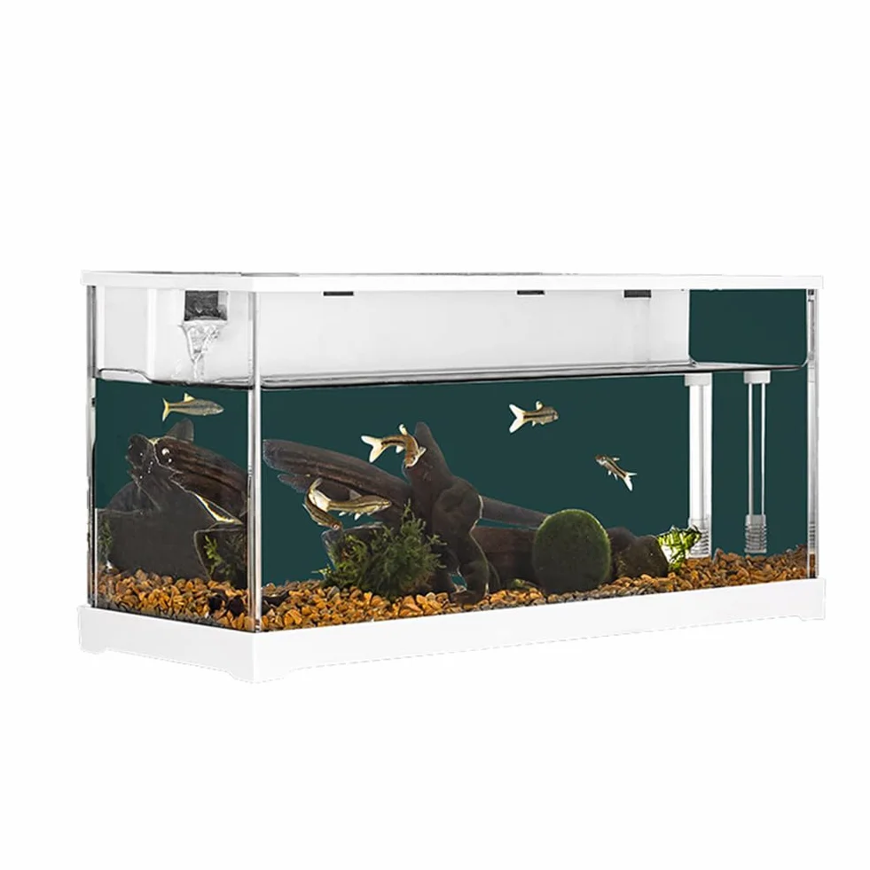 Réservoir aquarium rectangulaire acrylique transparent système filtration circulante pompe silencieuse