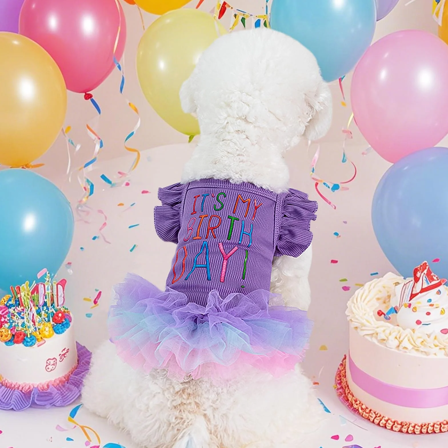 Robe d'anniversaire pour Chien C'est Mon Anniversaire, Robe Tutu Violette avec Volants et Dentelle