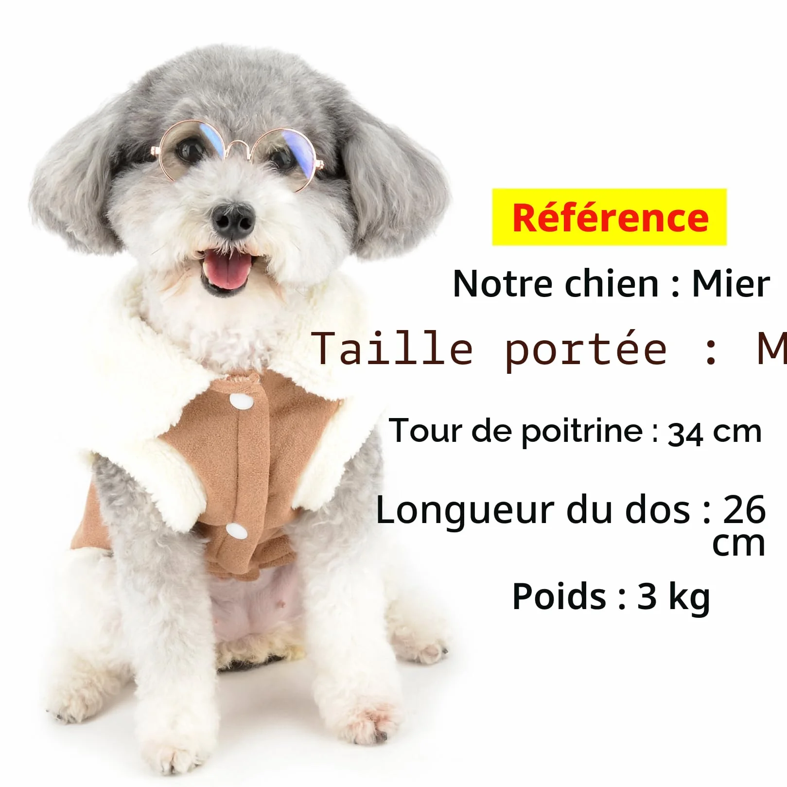 Manteau d'hiver en polaire pour chien avec anneau en D, gilet chaud et doux pour petit chien et chat