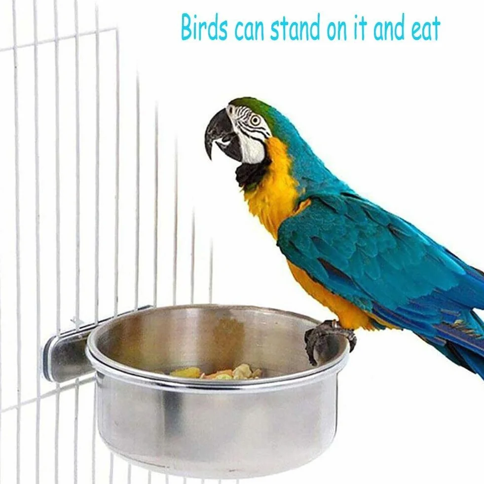 Bol d'alimentation pour Oiseaux Mangeoire Perroquet en Acier Inoxydable 10cm