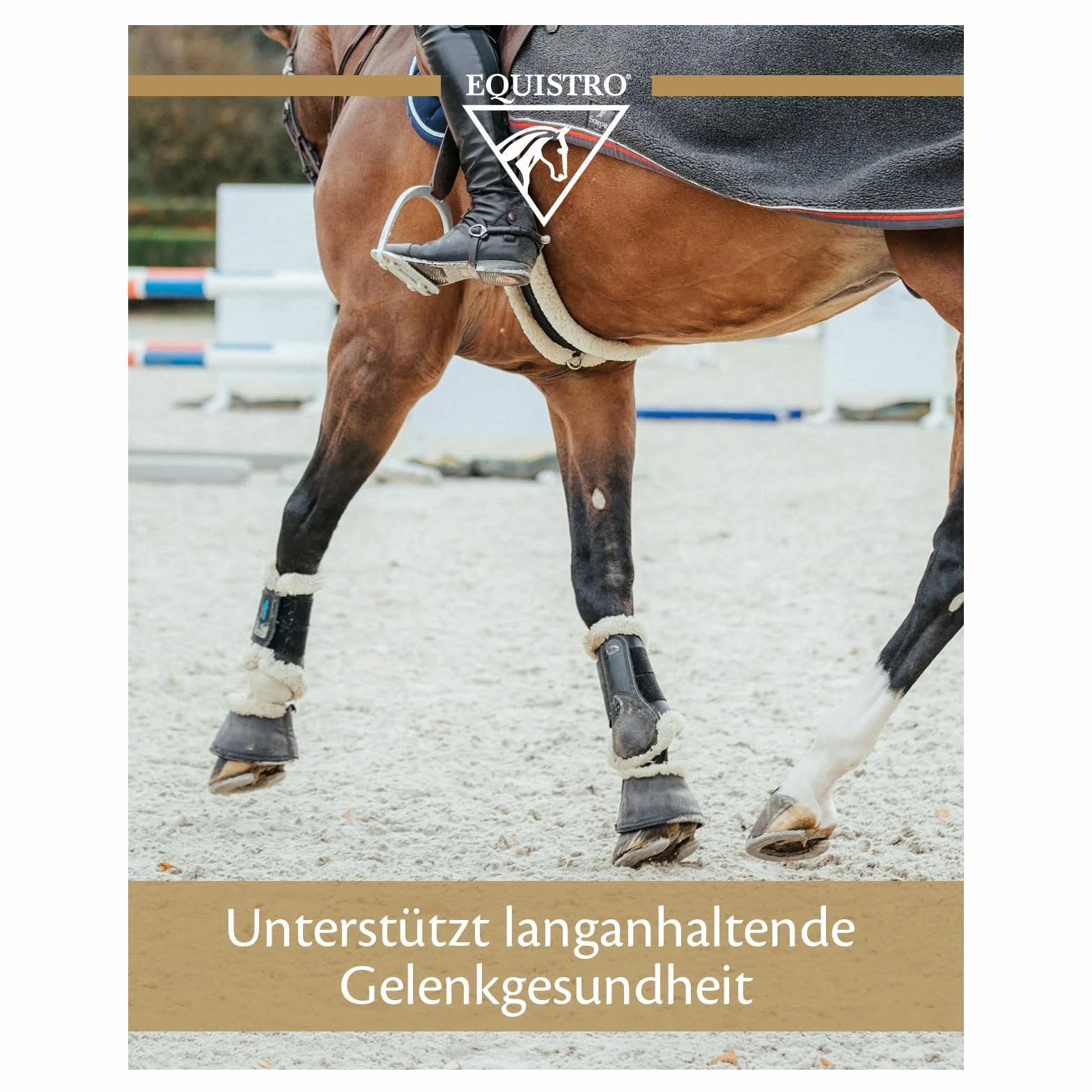 EQUISTRO® Flexadin Advanced Complément Alimentaire pour Chevaux Soutien du métabolisme articulaire UC-II® 2,4 kg