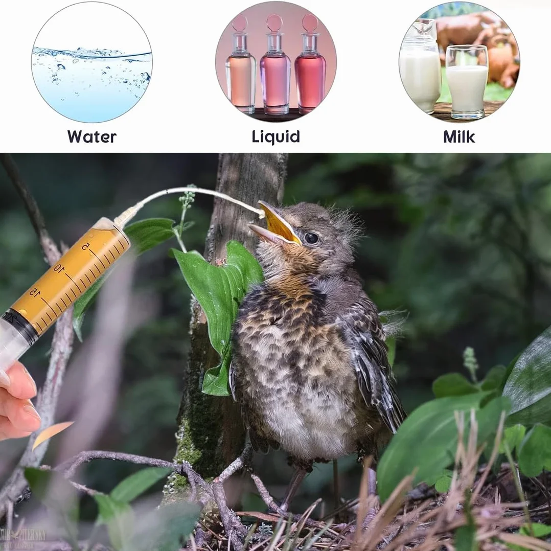 Seringue d'Alimentation pour Bébé Oiseau et Perroquet, 10 Pièces, Nourrir Animaux de Compagnie