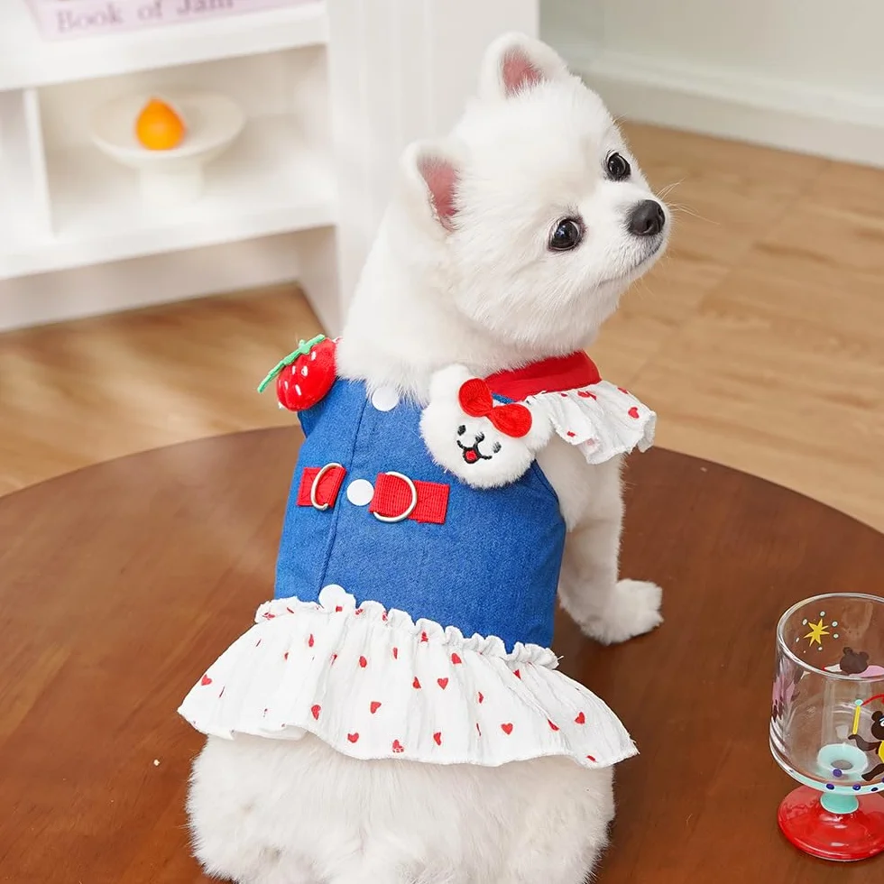 Robe élégante en denim pour chien avec harnais et laisse réglables - Tenue respirante printemps/été