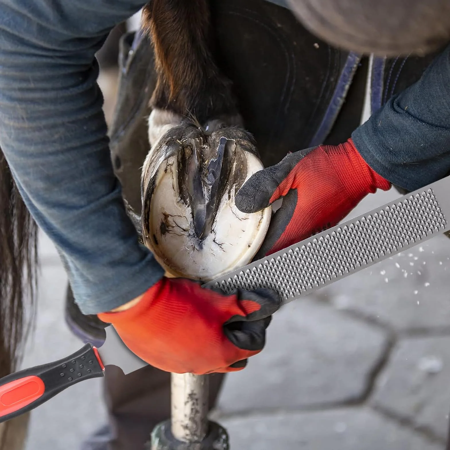 LALAGO 4 Pièces Soins des Sabots pour Chevaux, Pince à Sabot, Coupe-Sabot, Râpe avec Poignée