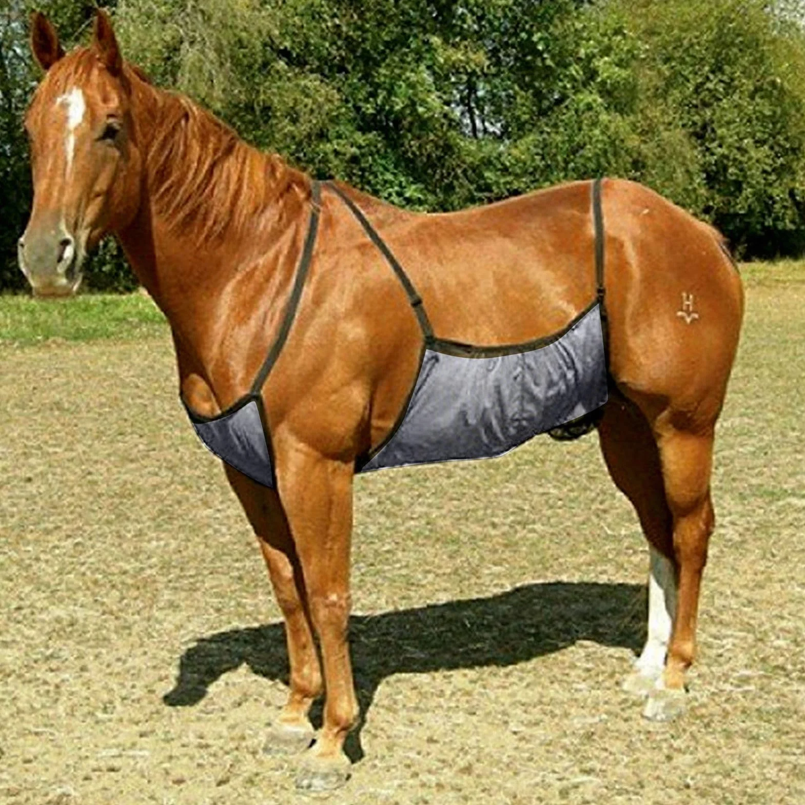 Couverture Anti-Mouches pour Cheval Respirante Réglable Protection Ventrale Anti-Insectes