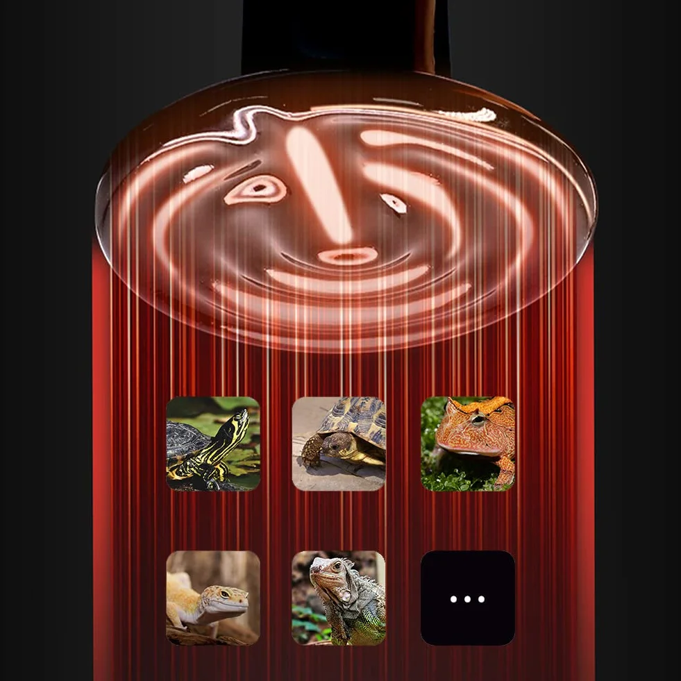 Lampe chauffante pour reptiles 100W céramique sans lumière avec cage