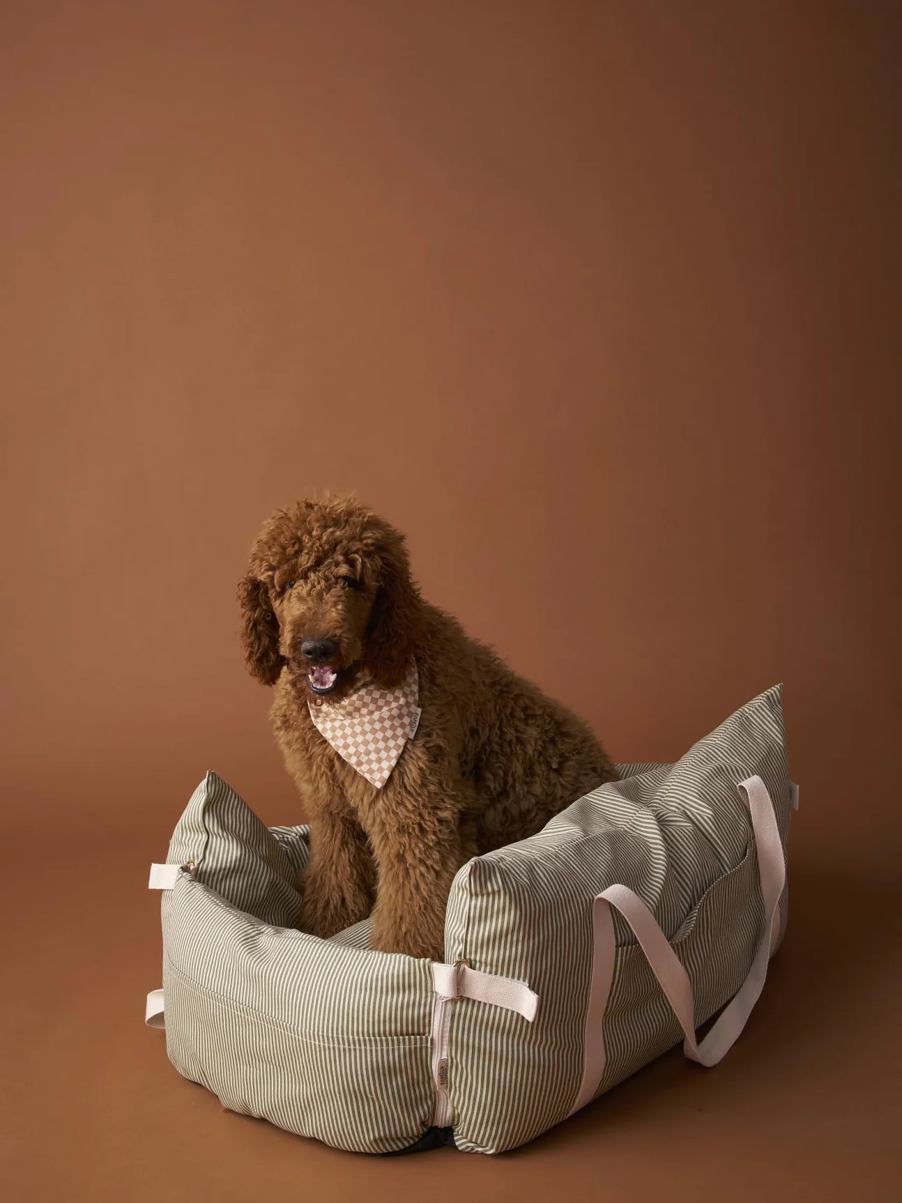 VERTBAUDET Sac de Transport Voiture 2 en 1 pour Chien rayé Vert TU
