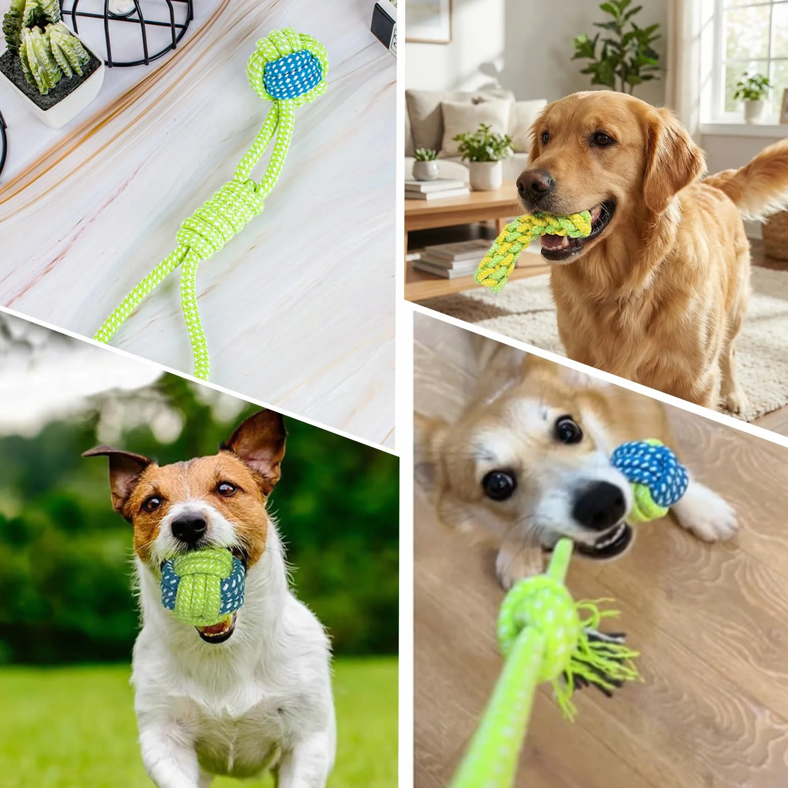 Jouet Chien Corde Interactif Indestructible Coton 26cm pour Chiens Jeux de Traction