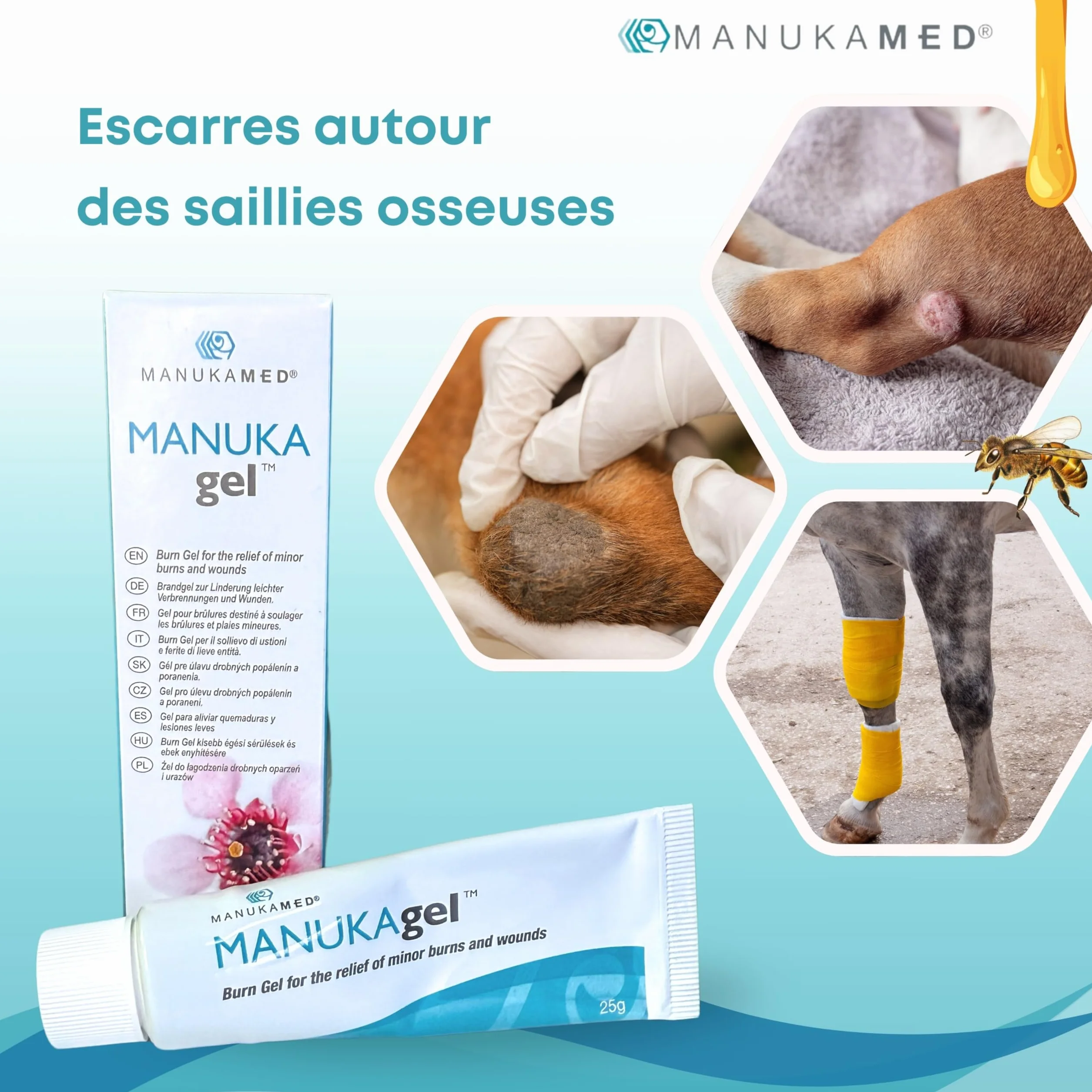 ManukaMed MANUKAgel Crème cicatrisante pour Chiens Chevaux Chats MGO 560+ antibactérien 25 g