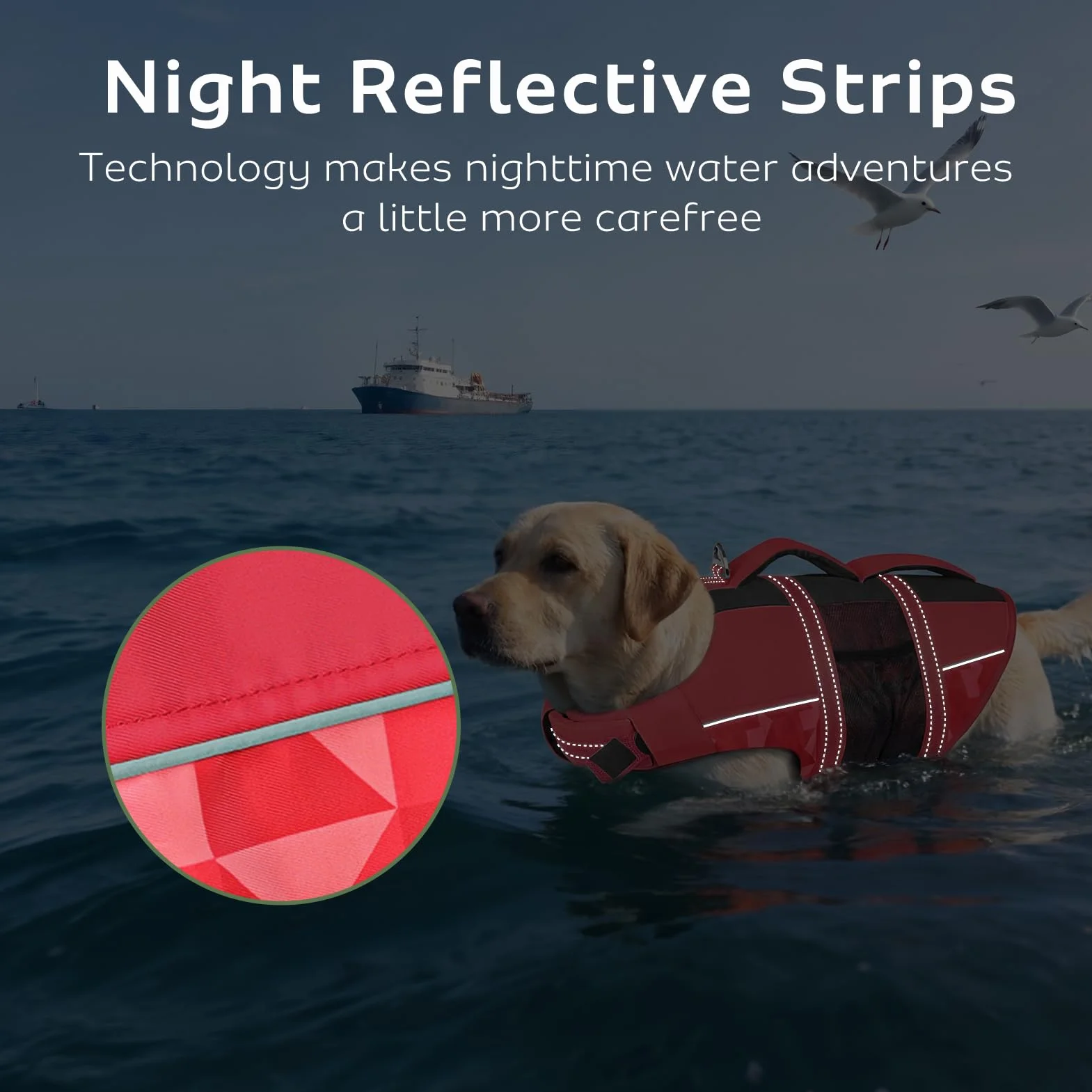CITÉTOILE Gilet de Sauvetage pour Chien, Bouée Réglable avec Poignée, Maillot de Sécurité Aquatique, Rouge M