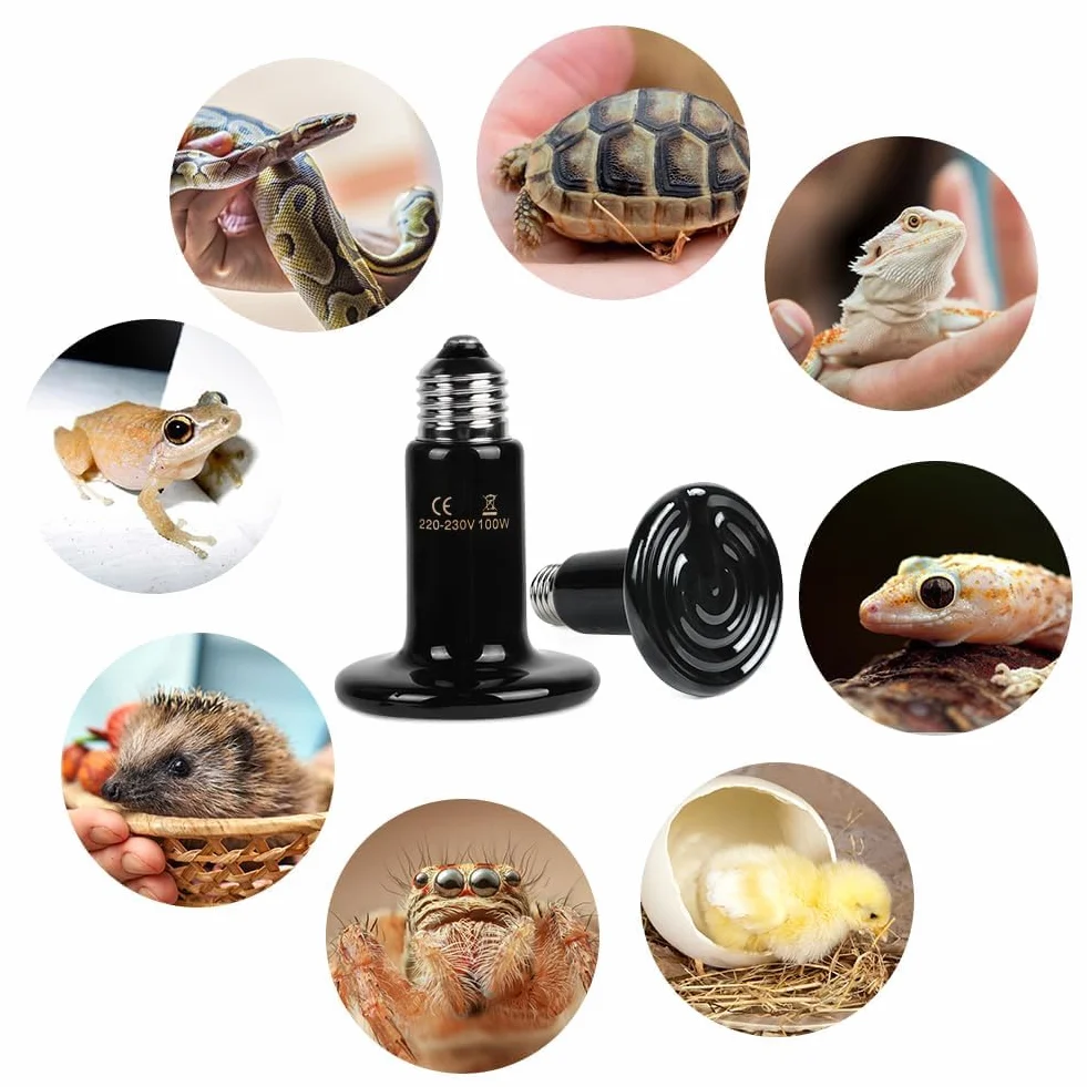 Ampoule Céramique Chauffante 220V 100W E27 Reptiles Noire Infrarouge
