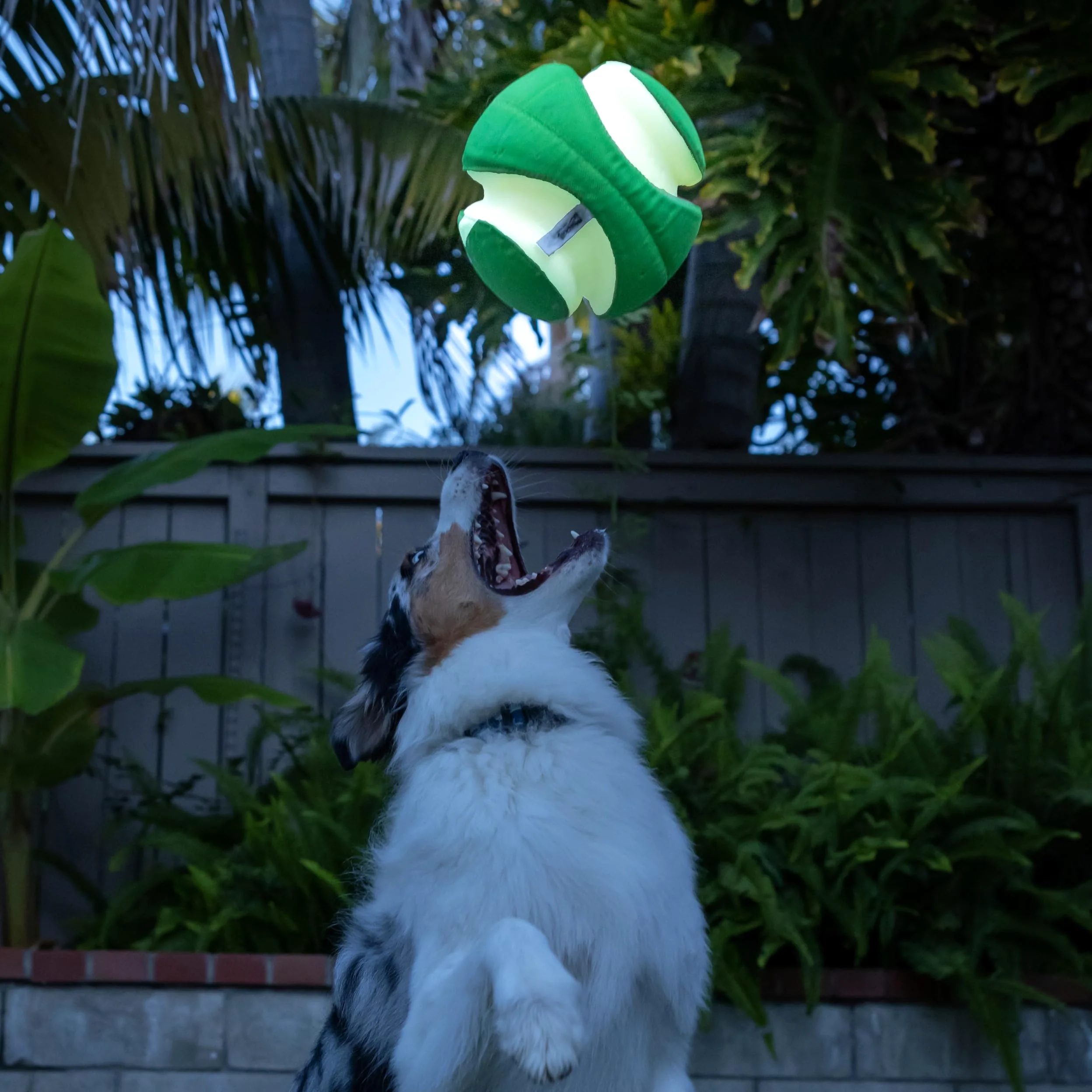 Chuckit CI Kick Fetch Max Glow Jouet pour Chien Taille M 19 cm