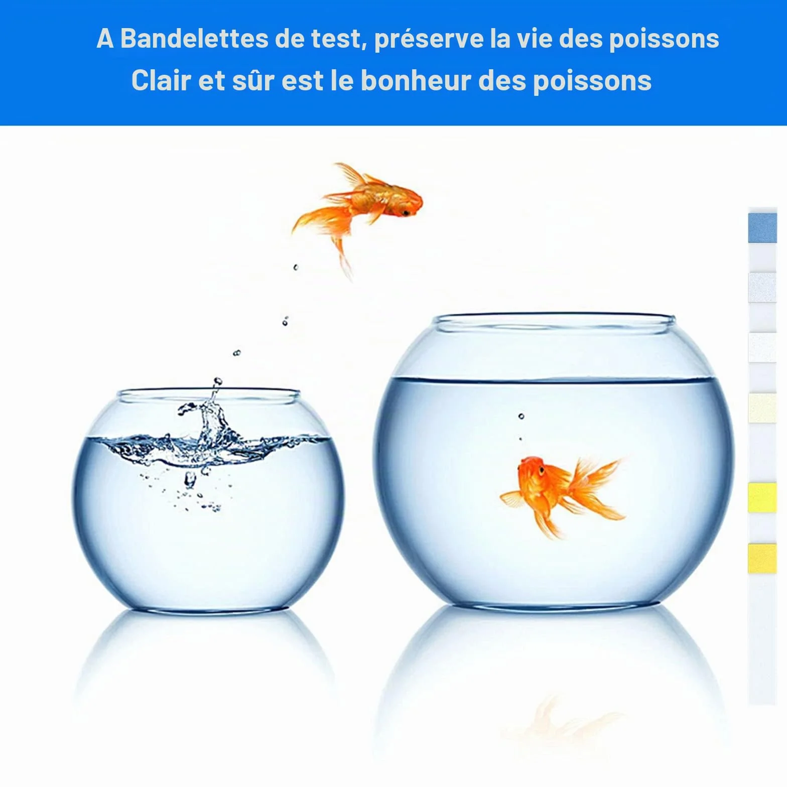 Lot de 100 bandelettes de test 6 en 1 pour aquarium pH nitrite nitrate chlore dureté carbonatée générale eau salée eau douce