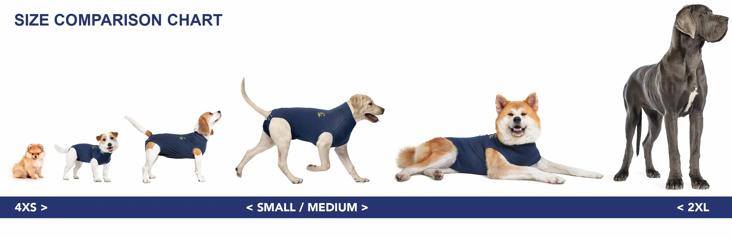 MPS Medical Pet Shirt pour Chiens M Bleu