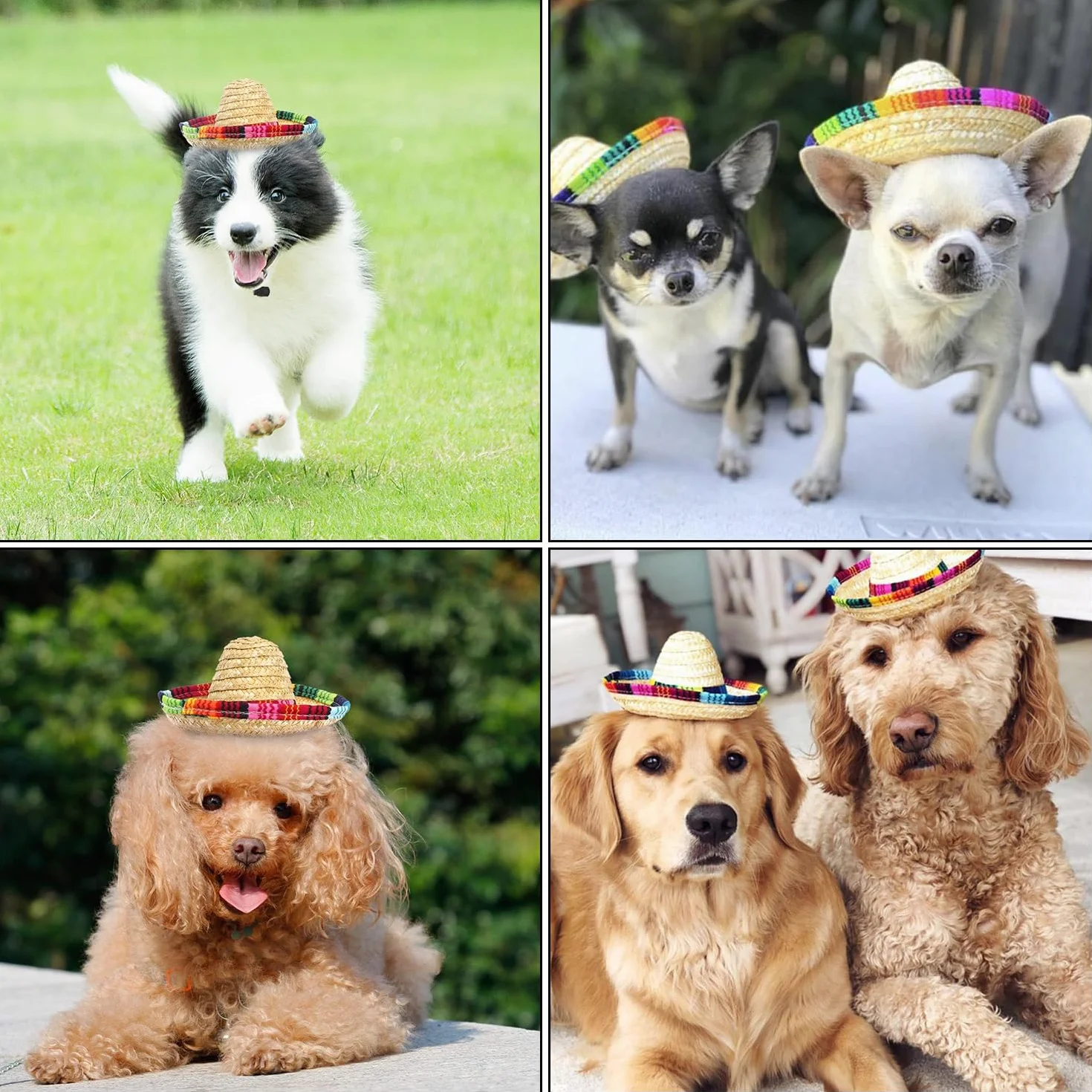 Chapeau de Paille pour Animaux de Compagnie - Beach Party Soleil Costume pour Petits Animaux/Chiot/Chat