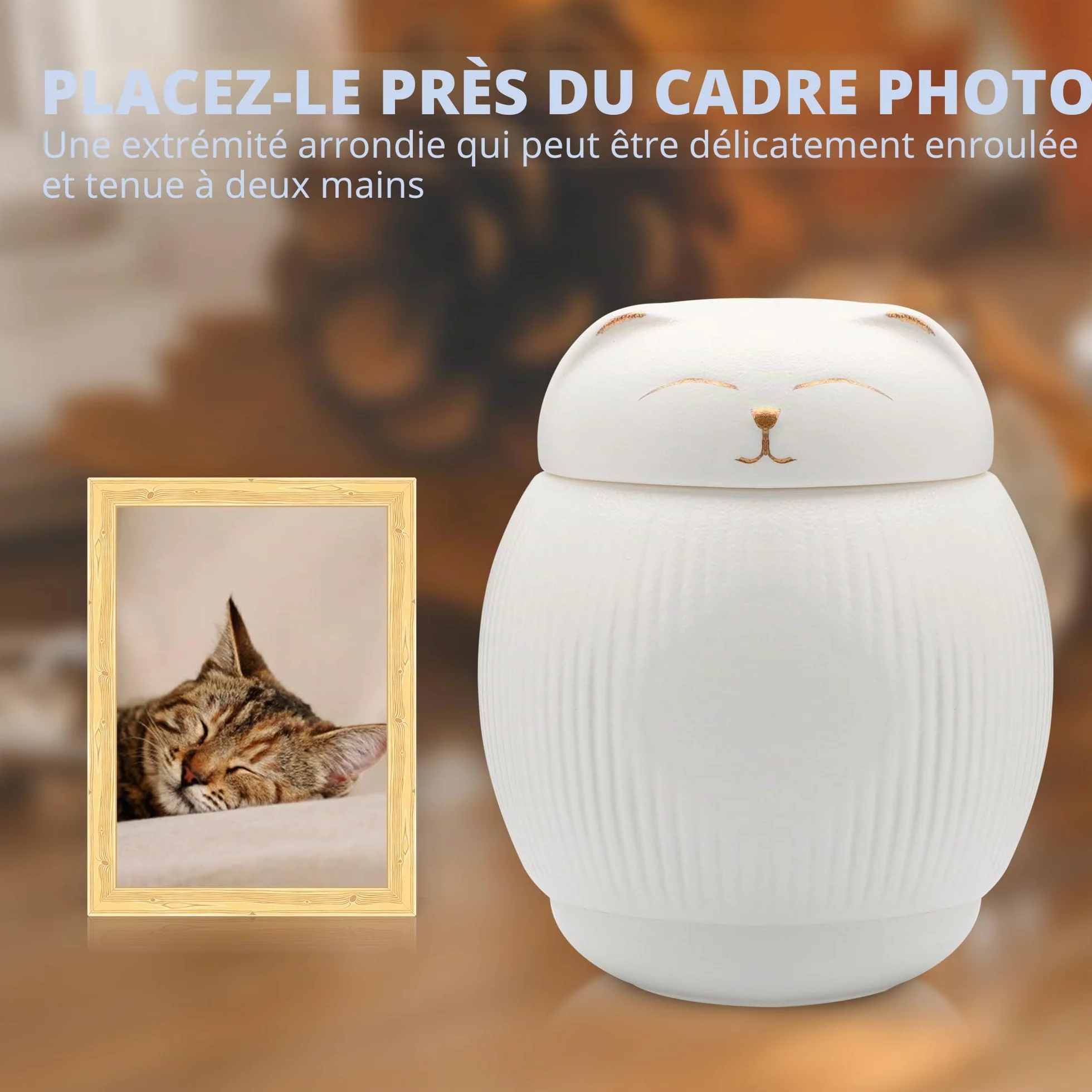 Urne en céramique pour chat, Urne pour animaux, Boîte commémorative, Urne pour cendres blanc (4 kg)