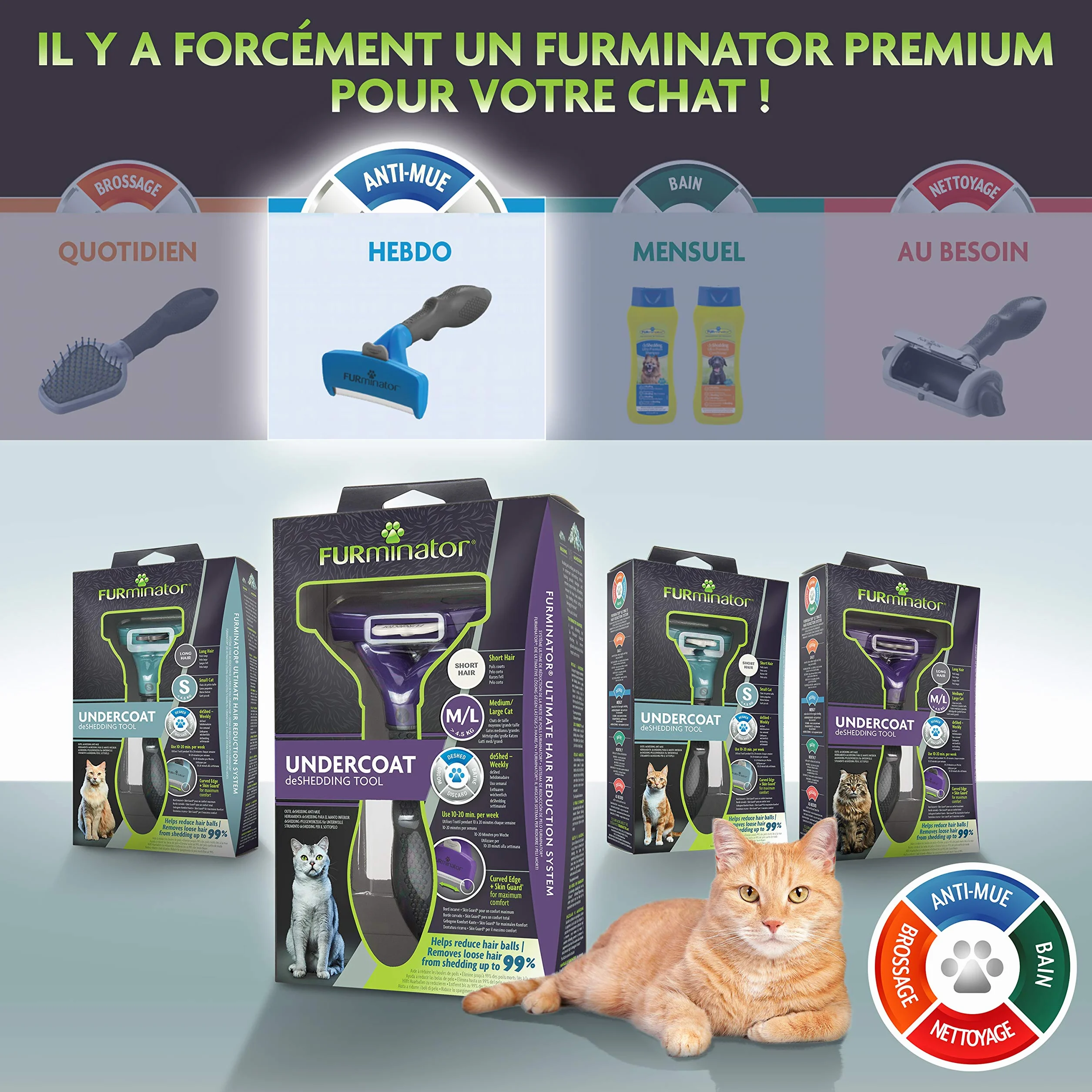 FURminator Outil Undercoat deShedding Chat L Poils courts