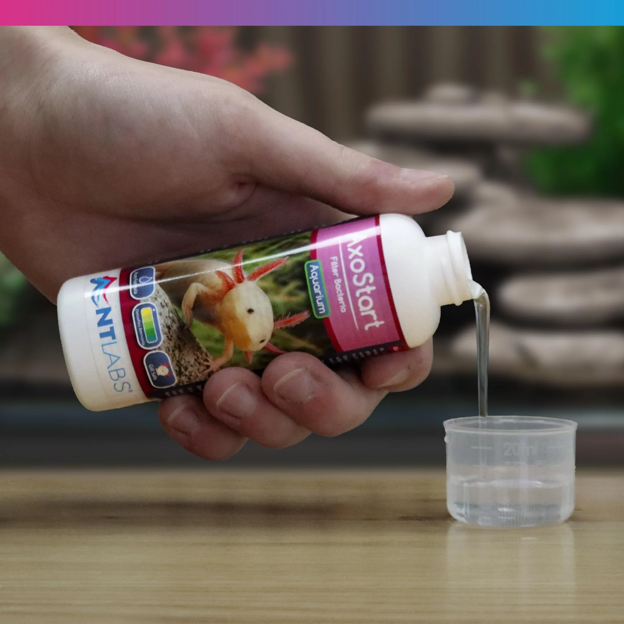 NT Labs Bactéries filtrantes Axolotl, décomposent les déchets d'axolotl toxiques, prévient l'ammoniac et le nitrite, utilisation après l'ajout d'axolotl ou d'un filtre propre (100 ml – traite 500 l)
