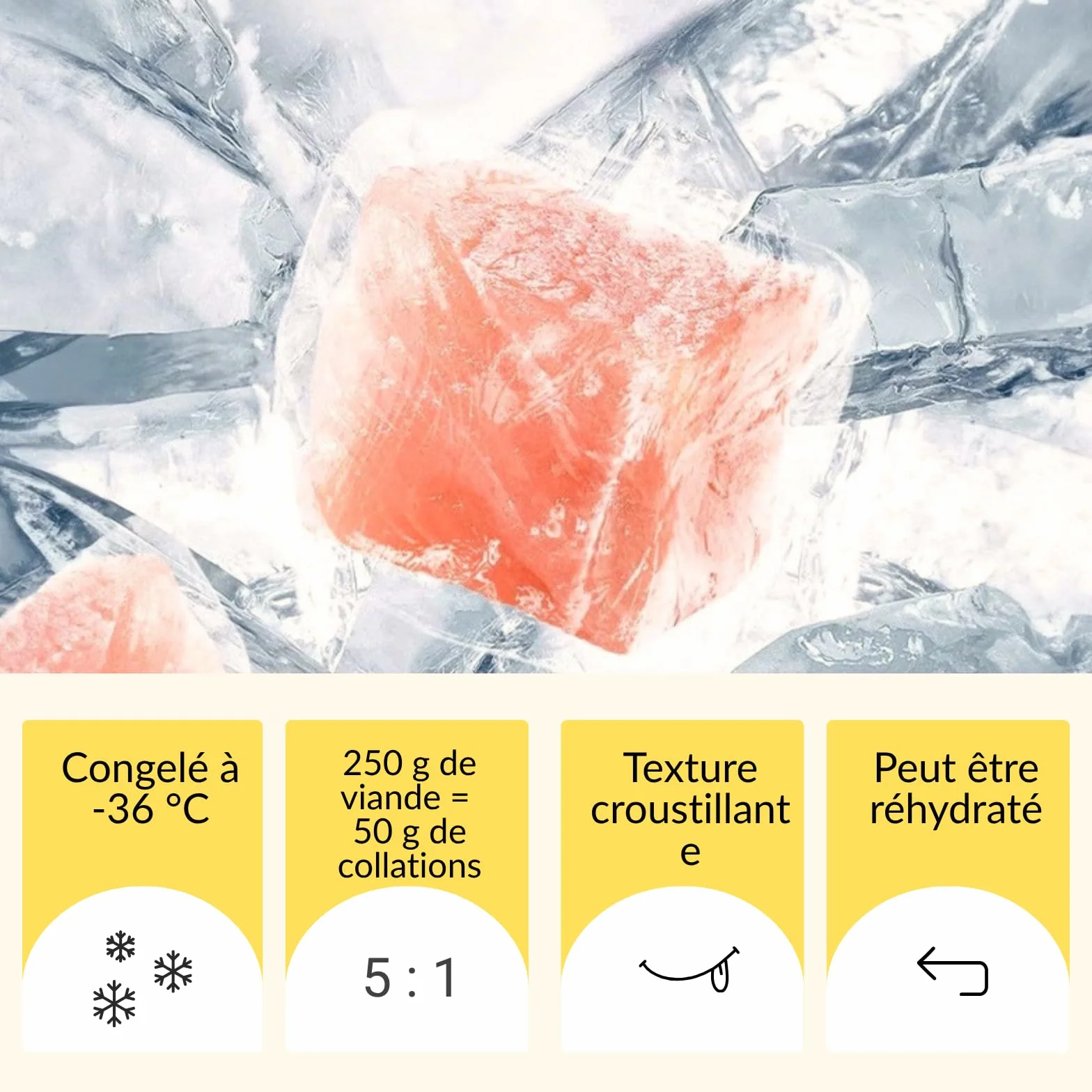 Friandises lyophilisées pour Chats – Blanc de Poulet 100% Mono-protéine, sans céréales, 50 g