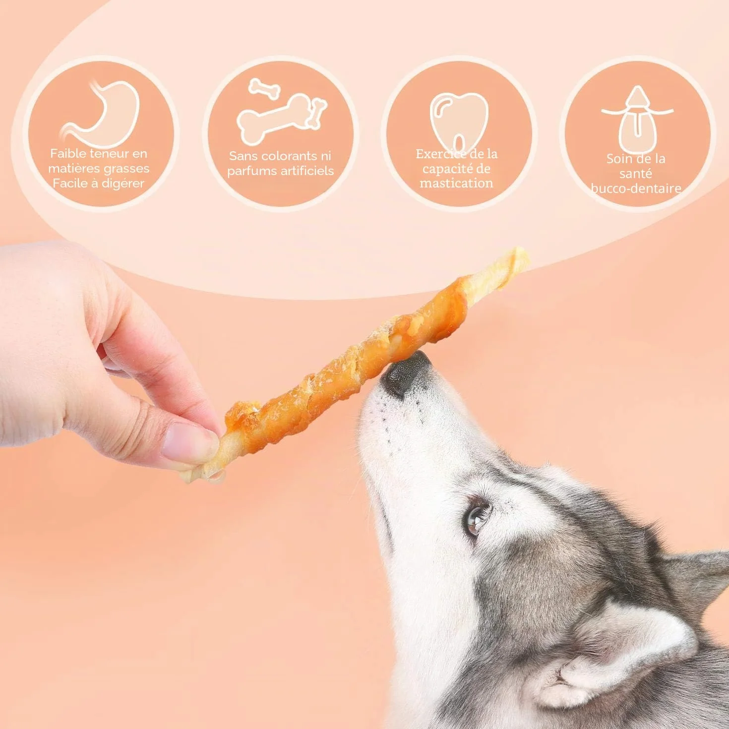Friandise pour Chien Poulet Stick Enrobé 100g Naturelles Riches en Protéines Lot de 6