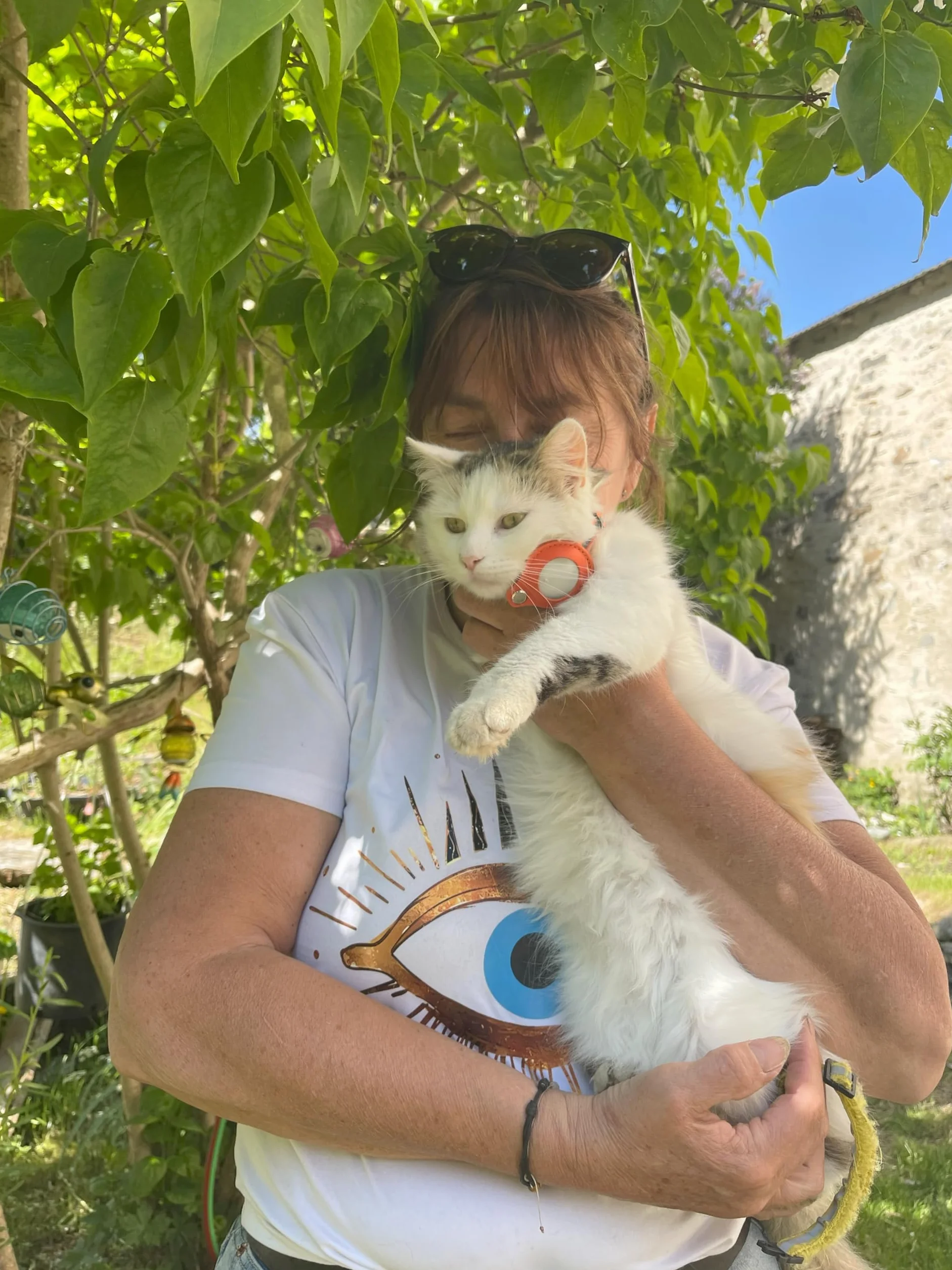 Collier pour Chat Compatible AirTag Orange – Sécurité Anti-Étranglement Réglable Léger