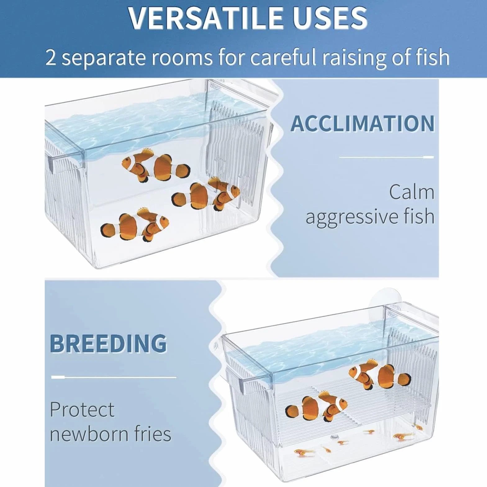 Boîte d'Élevage et d'Isolation Transparente pour Poissons - Incubateur d'Aquarium en Acrylique pour Betta, Crevettes et Guppy