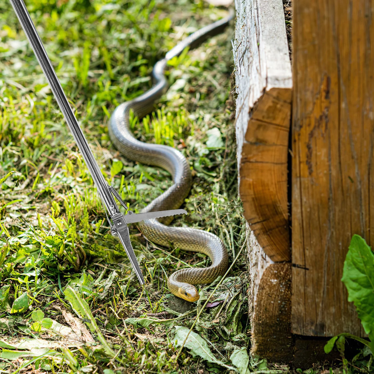 GALPADA Pince à Serpent en Acier Inoxydable Pliable, Outil Portable pour Attraper Les Serpents en Extérieur