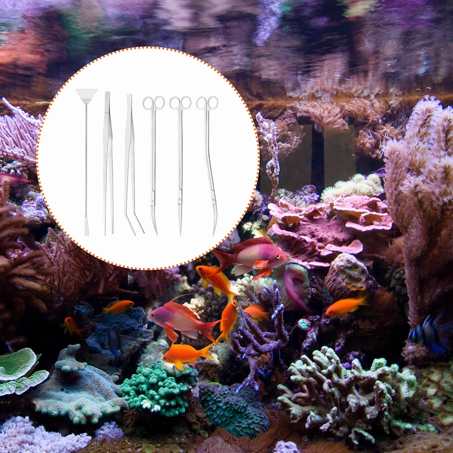 Kit d'outils pour aquarium 6 PCS Pince à épiler en acier inoxydable Ciseaux Spatule