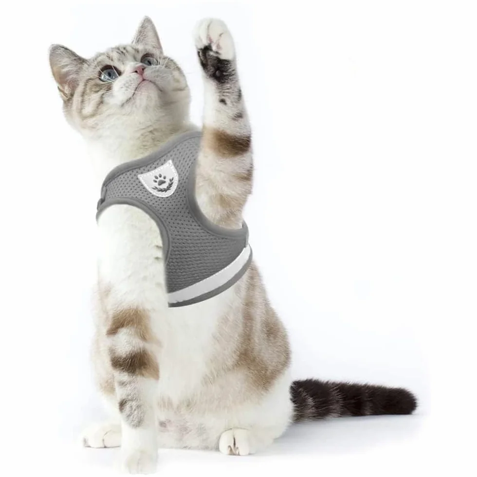 Harnais pour chat avec laisse anti-éclatement, réglable, doux, gris, taille S 26-32 cm