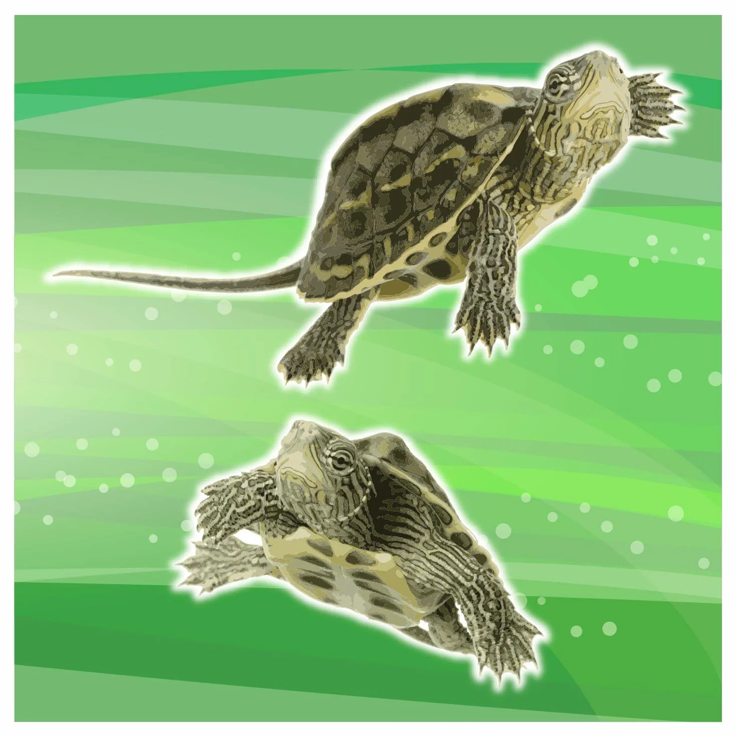 Arquivet Gammarus 7500 ml Aliments Naturels Complets pour Tortues Aquatiques Nourriture Flottante