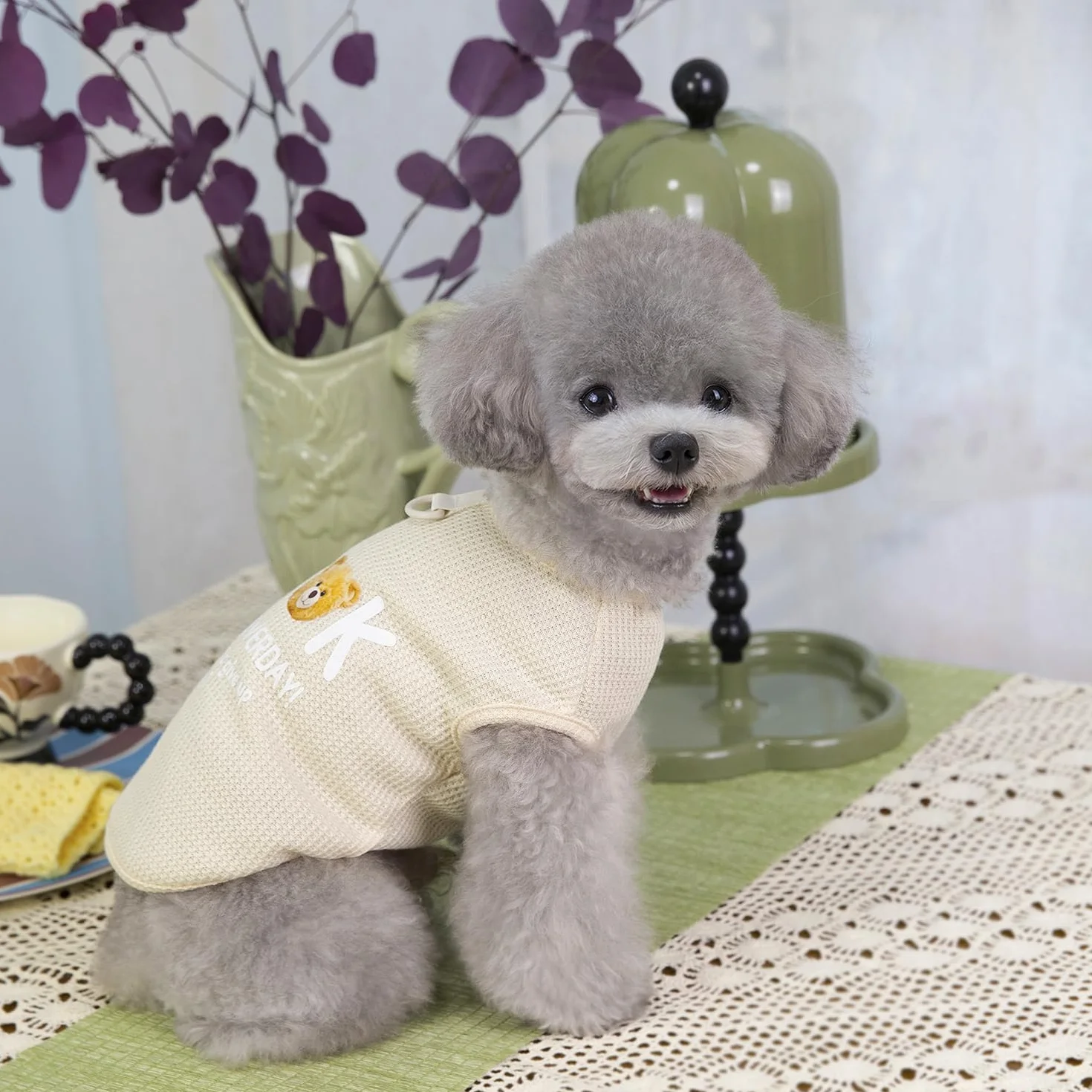 3 Pièces Chien Chemises Vêtements Respirant Livre Ours Gaufré Motif Cool Été Coton Débardeur Gilet T Shirt pour Petit Chiot Chat