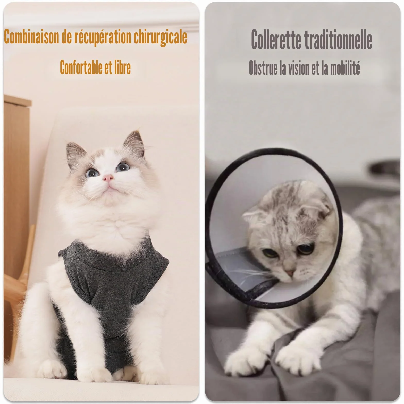 Combinaison de convalescence pour chat en coton gris taille S M L alternative au collier et cône de récupération post-chirurgicale