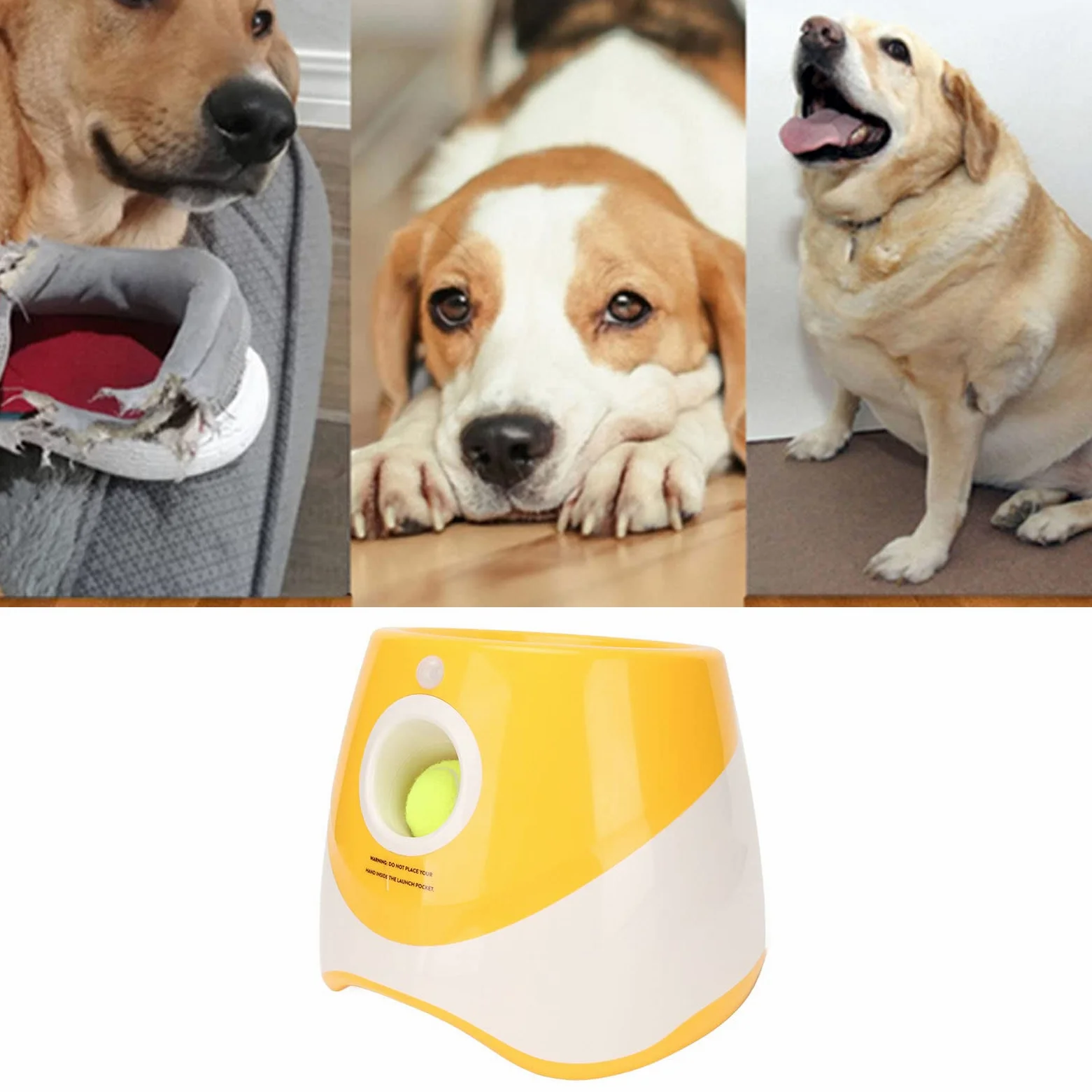 Lanceur Automatique de Balles pour Chien, Jouet Interactif pour Chien avec 3 Balles de Tennis, Lanceur Automatique pour Chiens Intérieur Extérieur