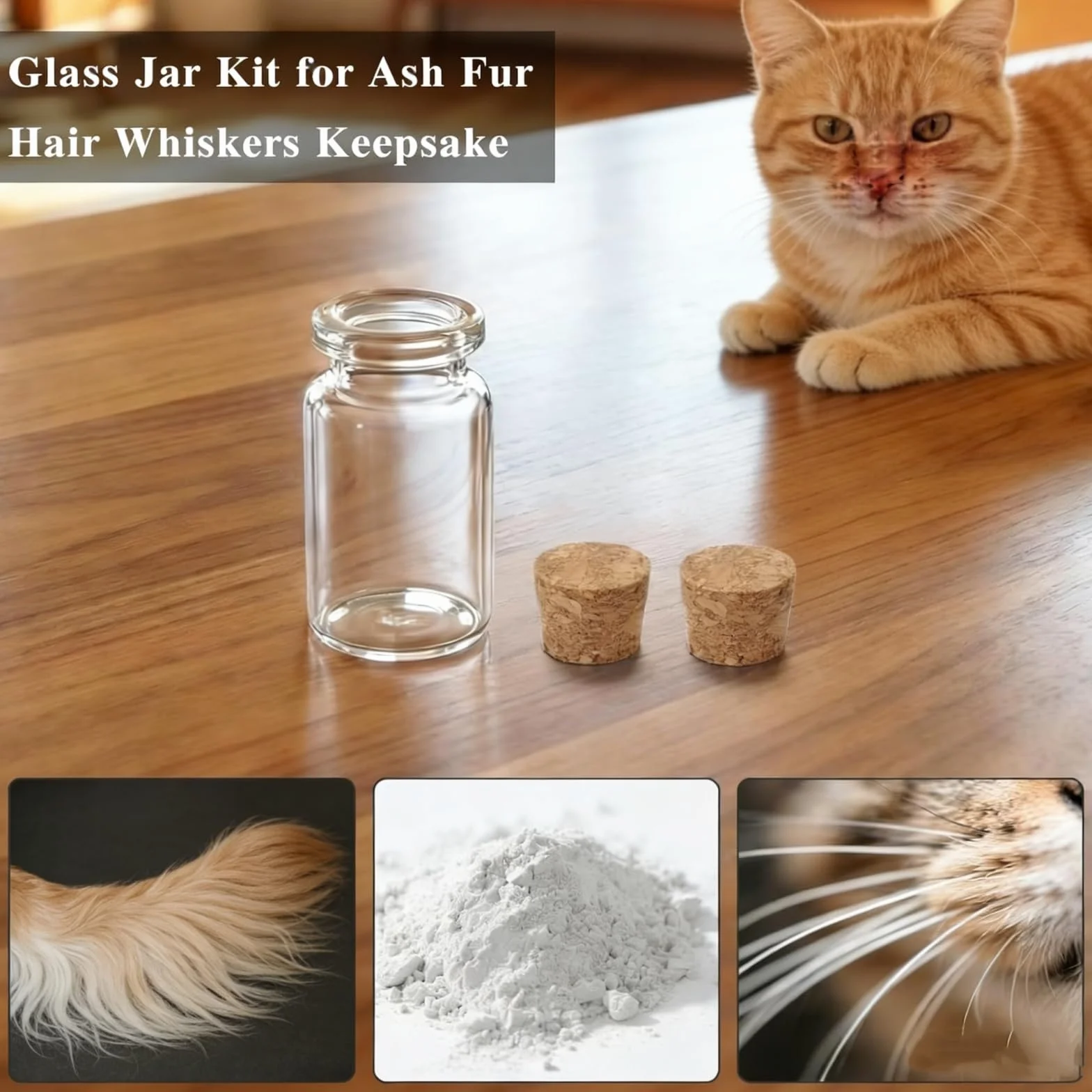 Boîte à Souvenirs Personnalisée pour Poils d'animaux, Urne en Bois avec Photo et Nom, Cadeau Commémoratif Perte d'animal, 4 Flacons en Verre