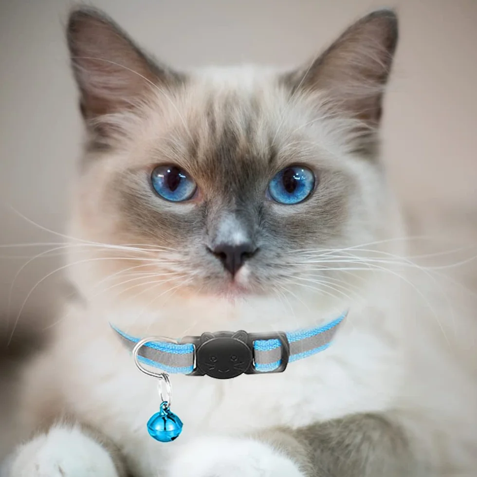 Colliers réfléchissants à dégagement rapide pour chat avec clochette, Lot de 2, Bleu clair