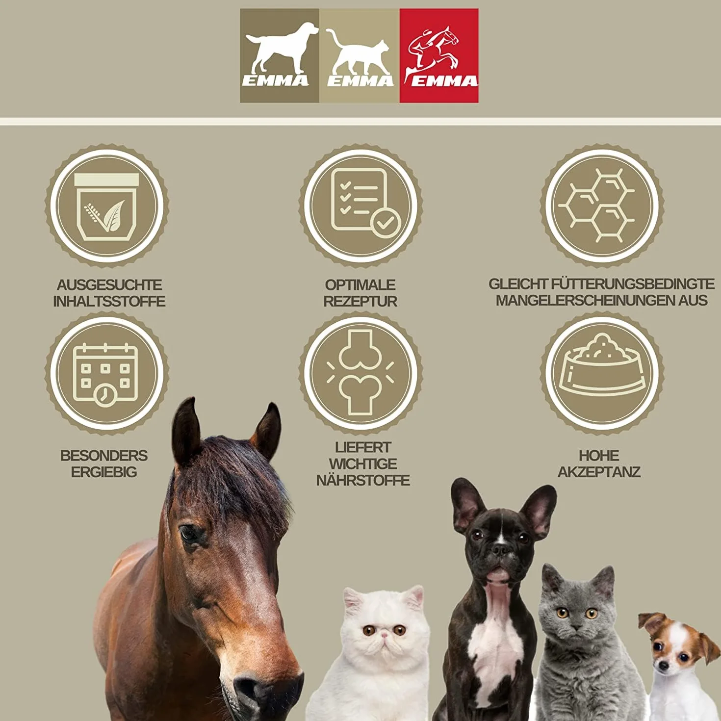 Probiotiques cheval Booster intestinal Levure de bière Vitamine E Flore intestinale