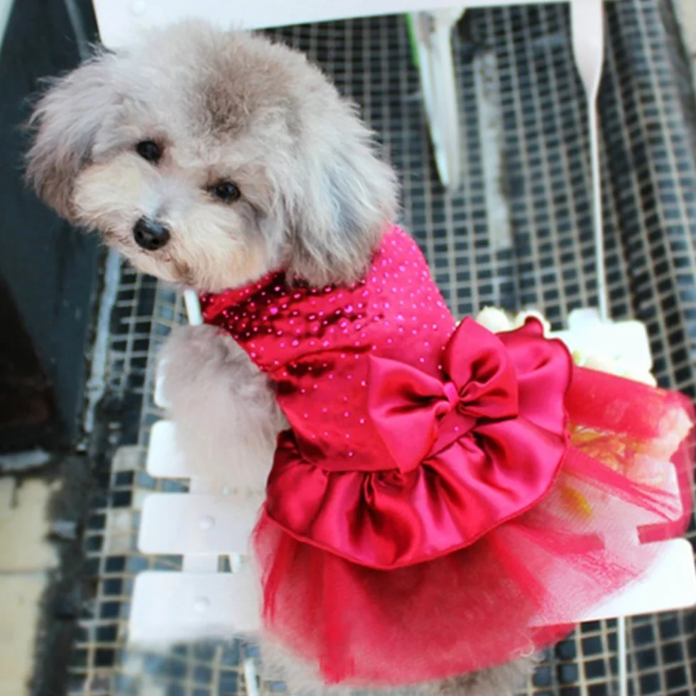 Jupe de princesse en gaze avec nœud pour chiot et chat