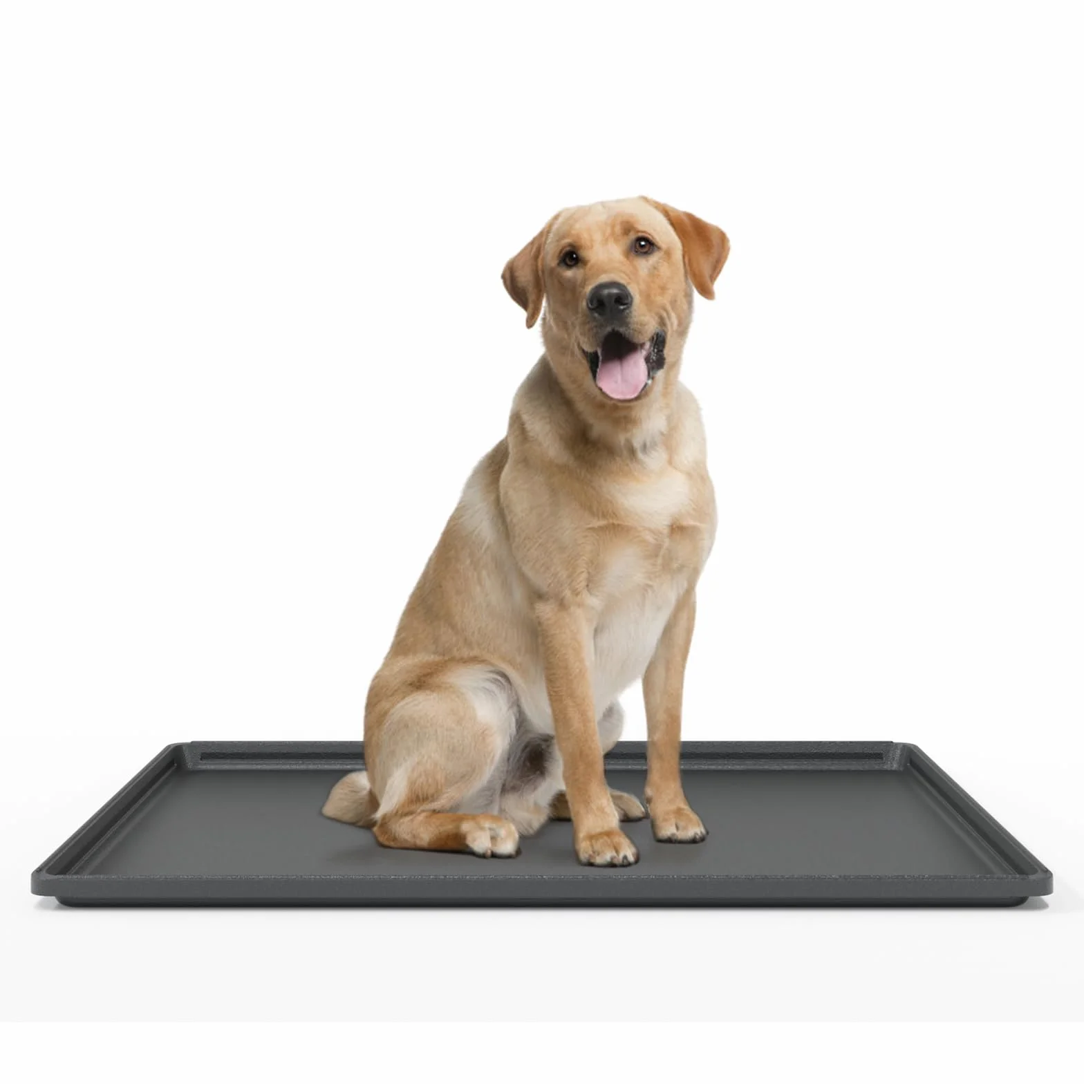 Plateau de Remplacement pour Cage Chien 88.9 x 59 x 3.2cm Noir